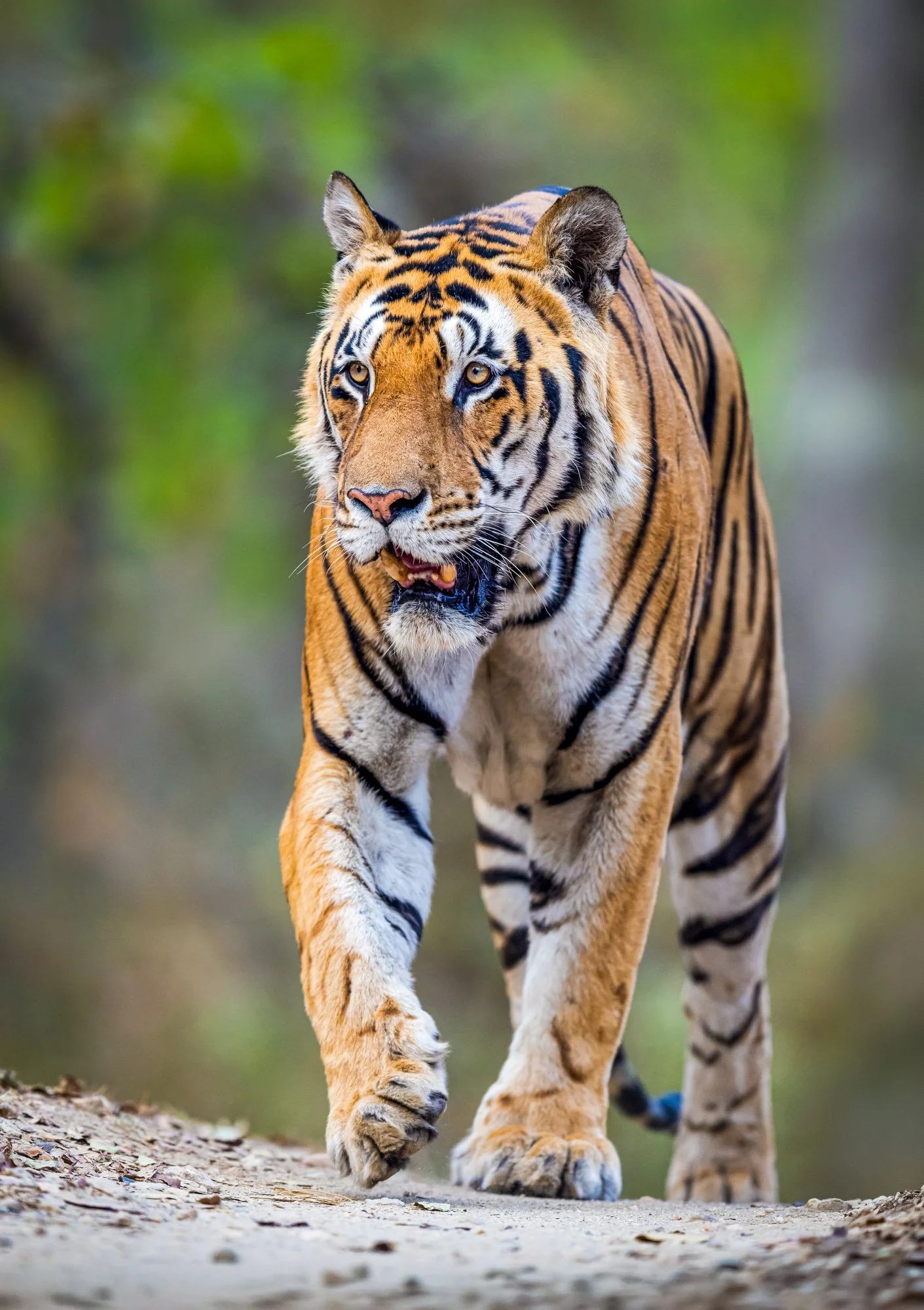 _G9A1529-Edit.jpg
