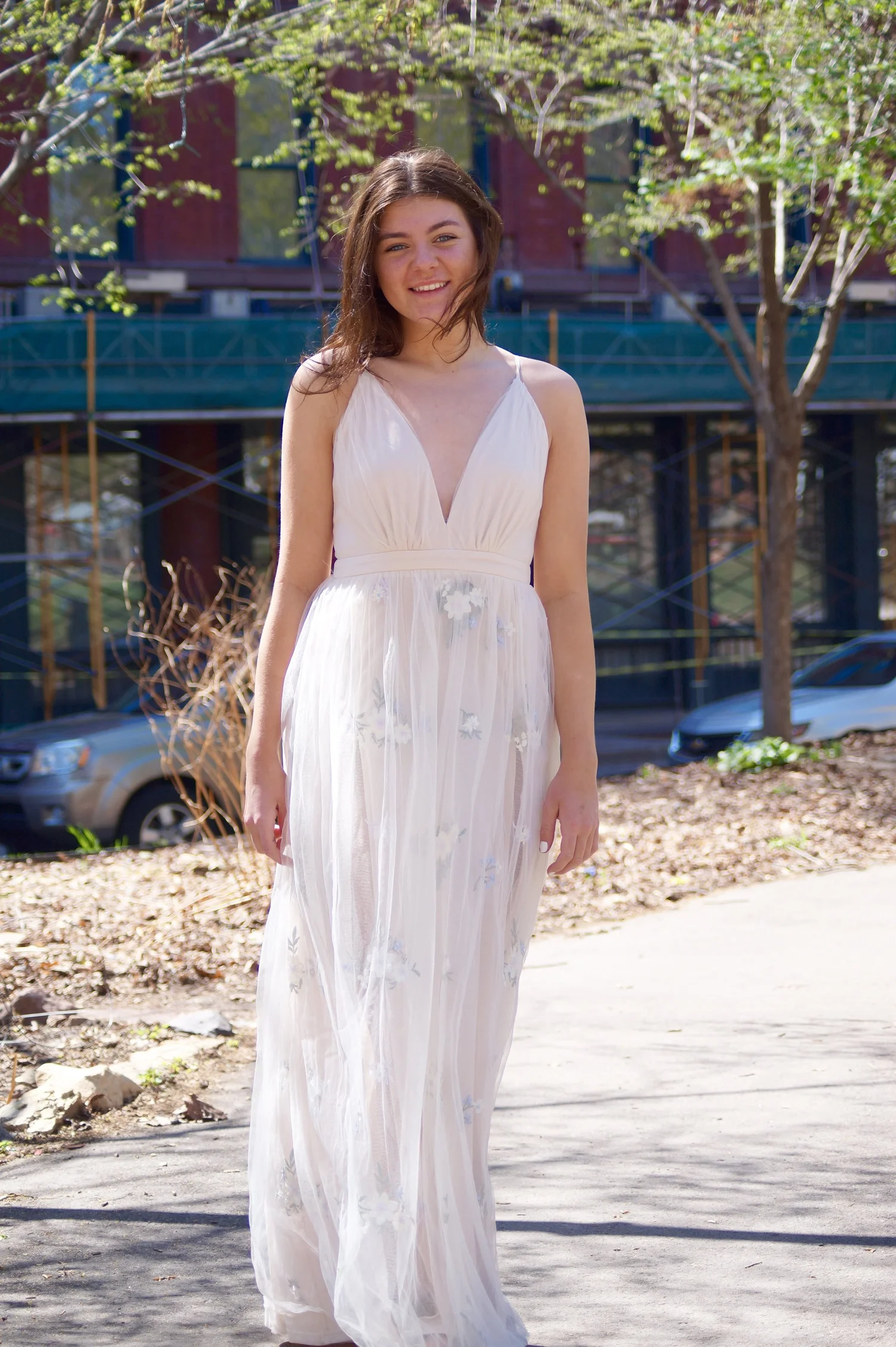 chinese dress ladies Floral Cut Out Tulle Dress