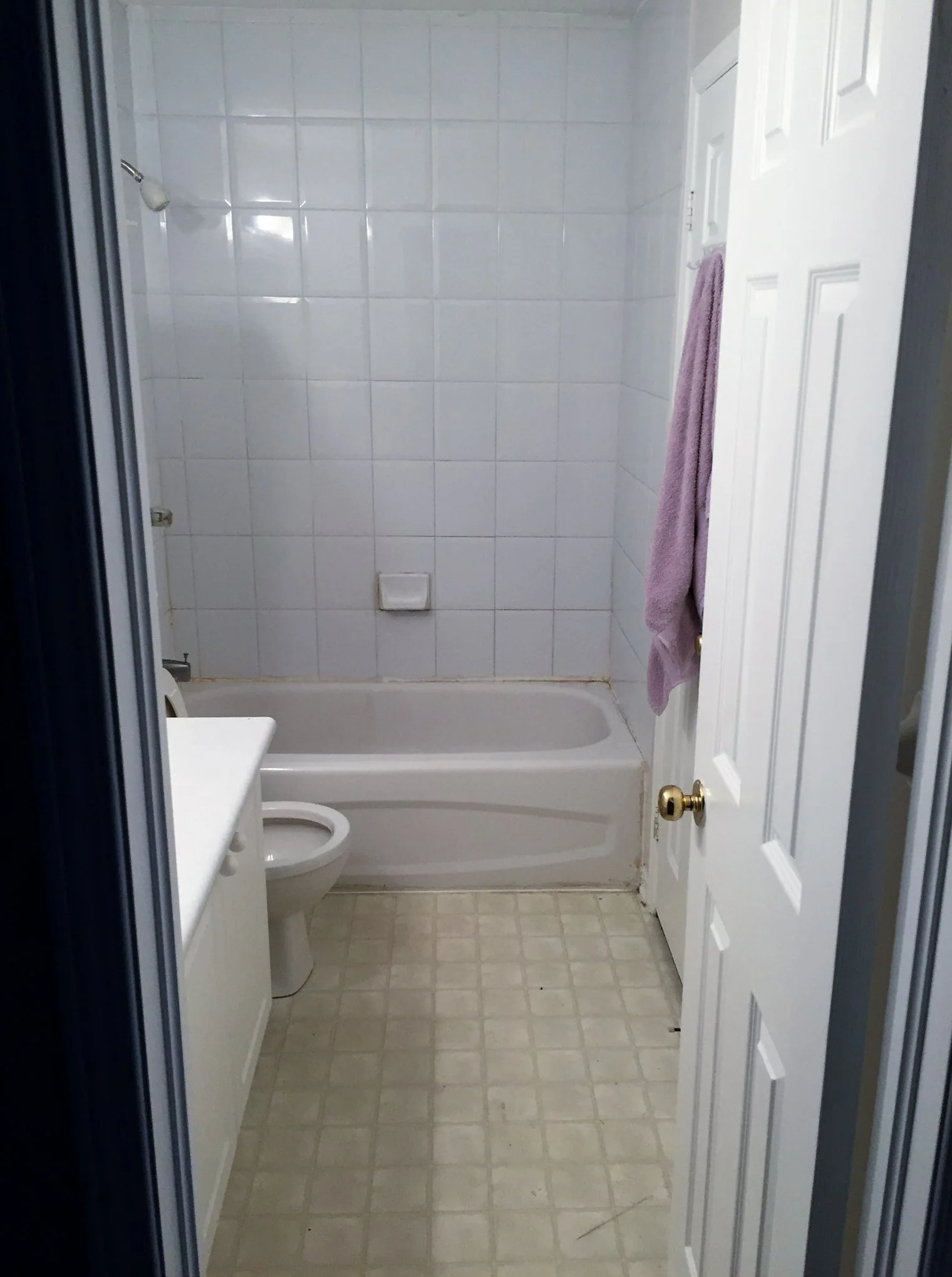 Before bathroom renovation