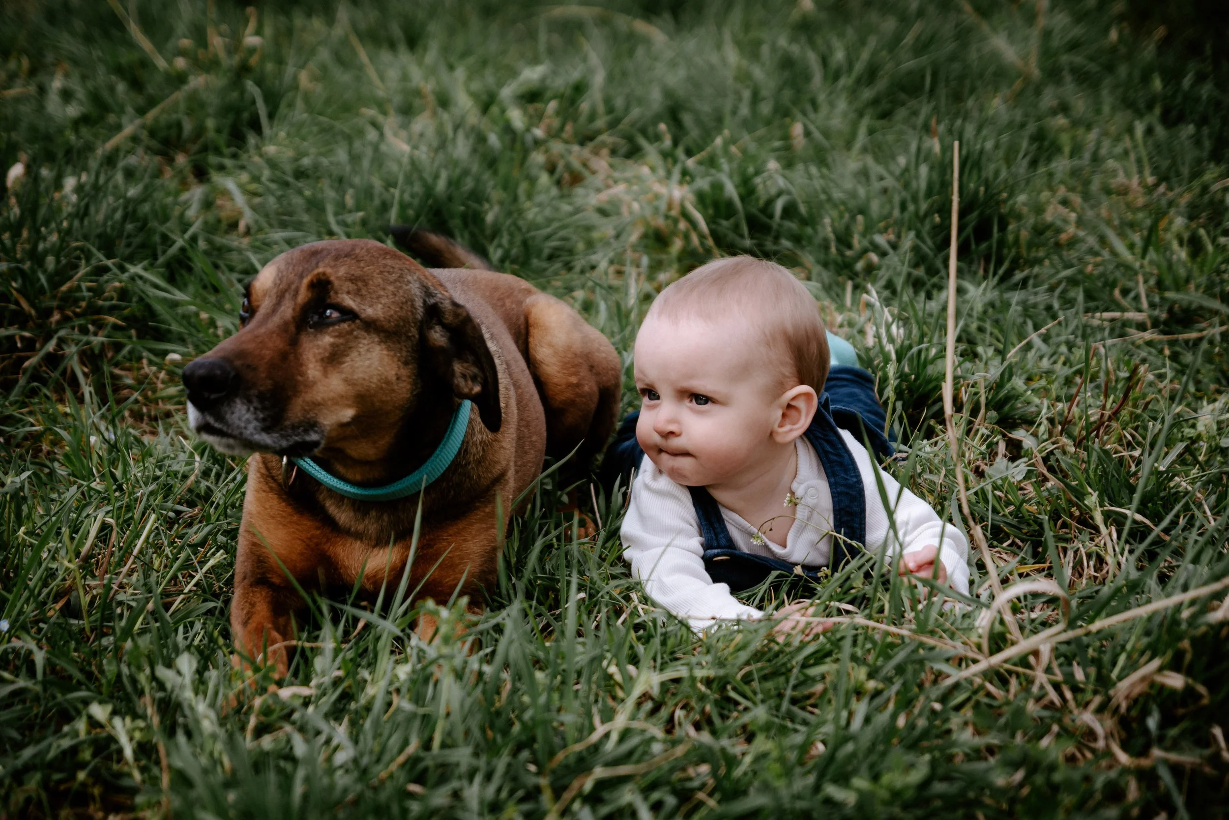 Duben ve Vrátkově-073.jpg