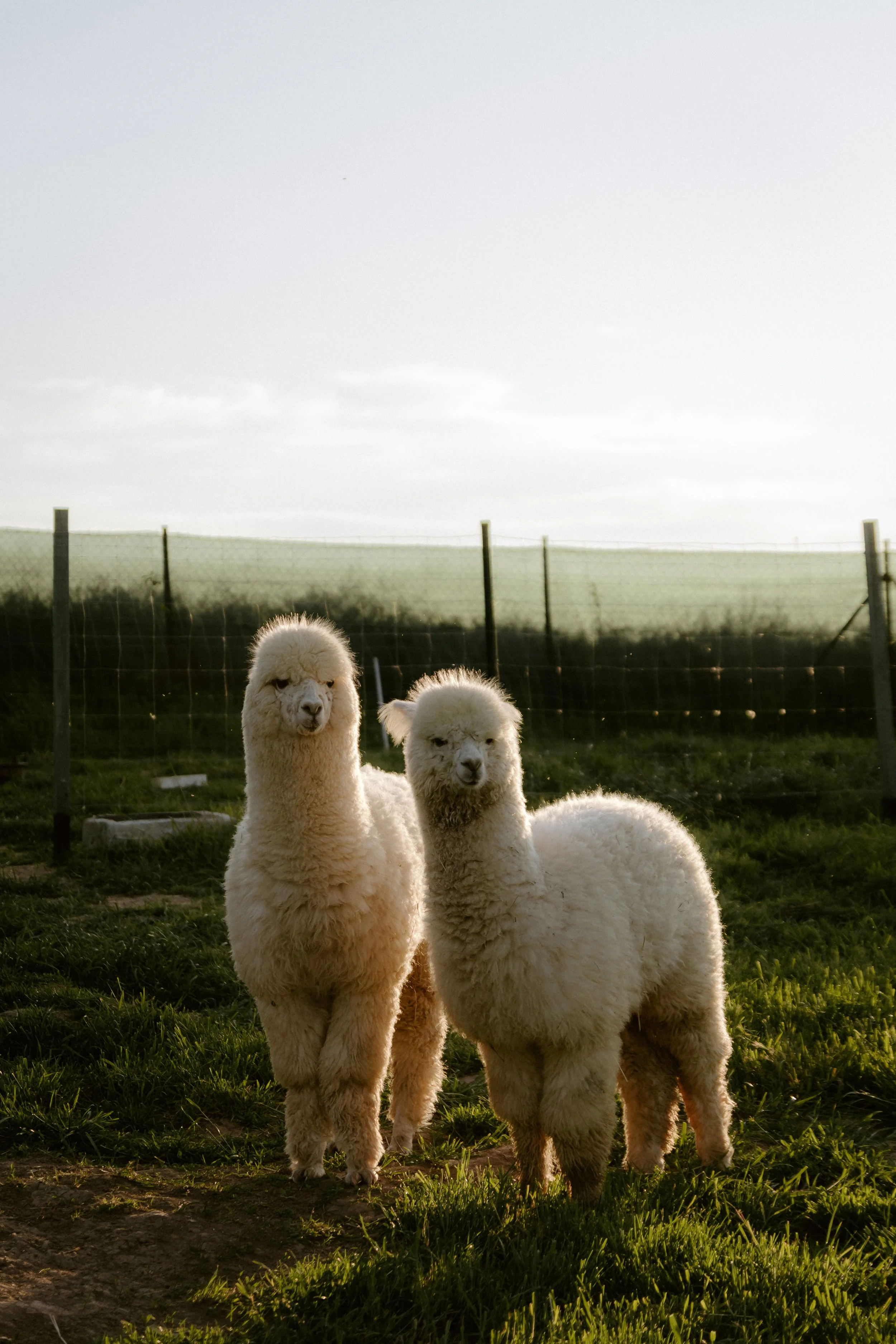 20240512 (82 of 94).jpg