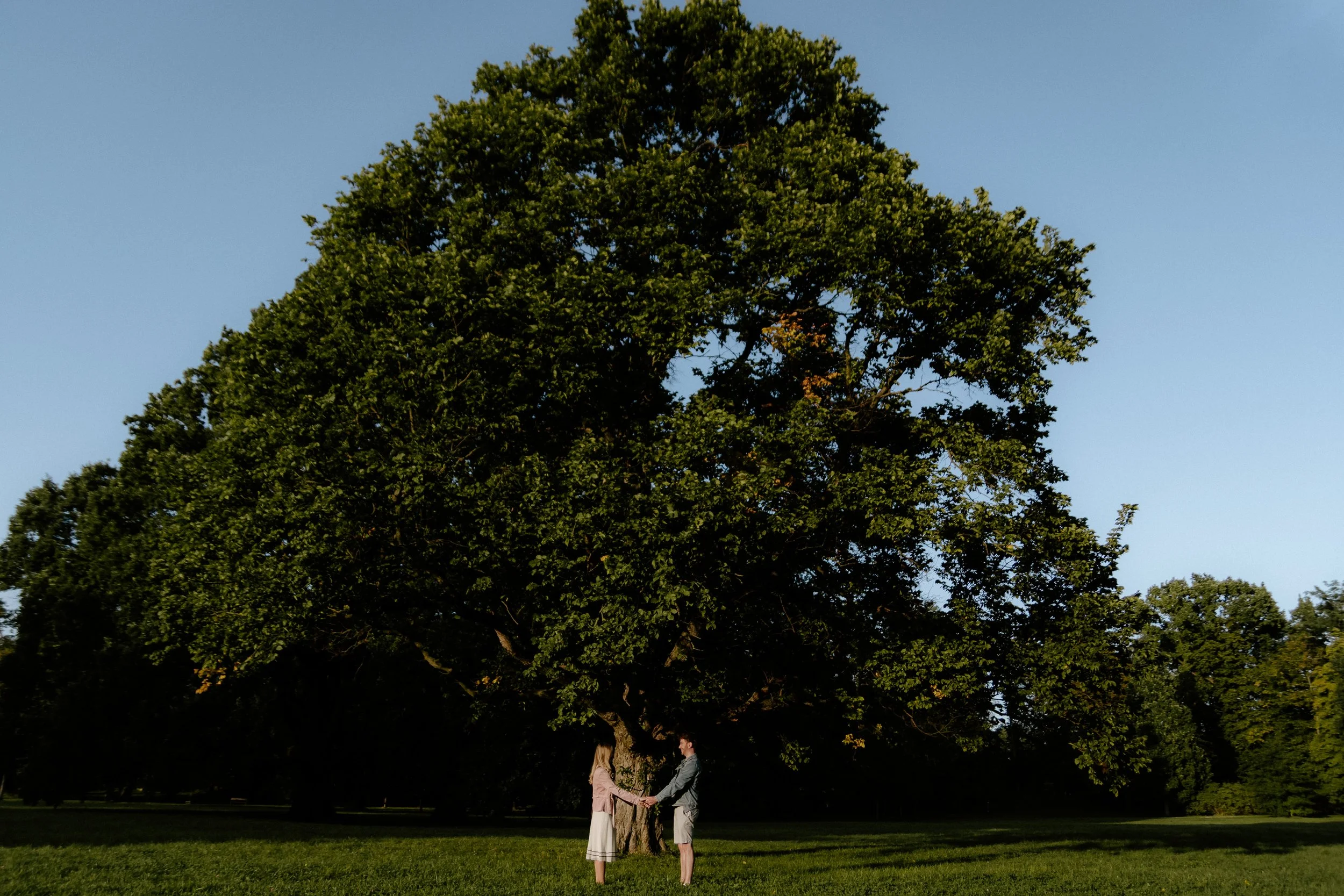 Pár stojí čelem k sobě, drží se za ruce pod velkým, bujným zeleným stromem v parku během dne. portrétní fotografie, párové focení