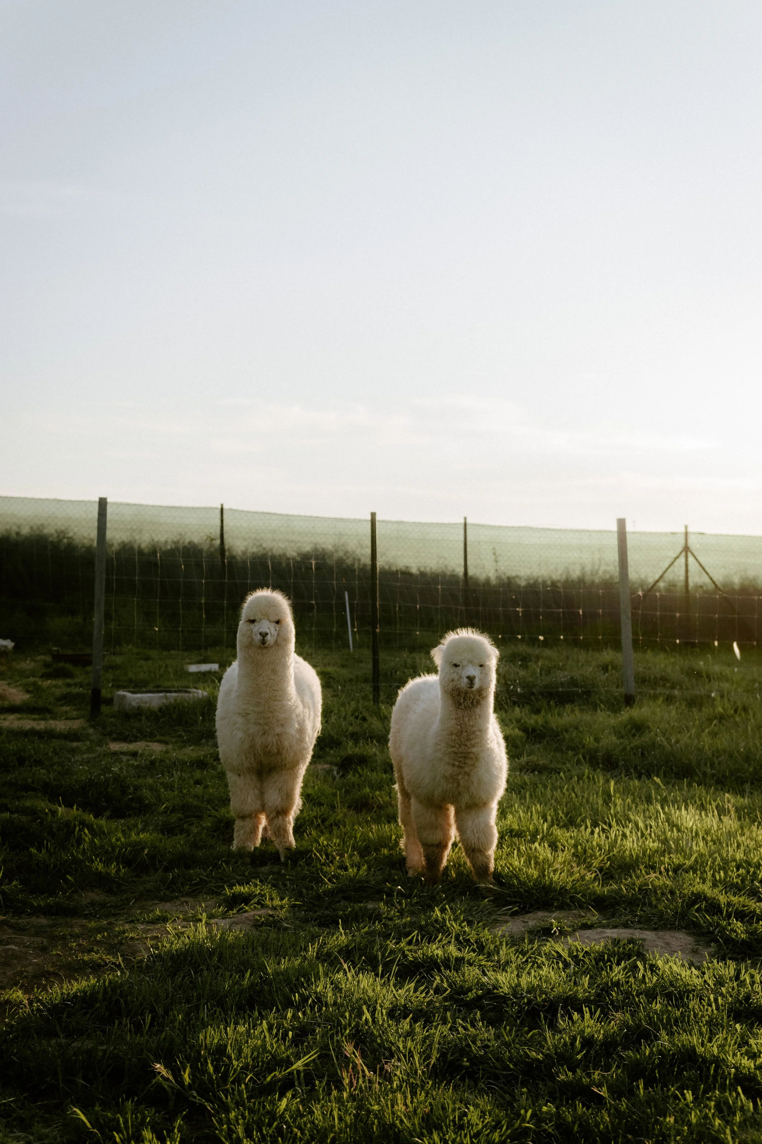 20240512 (80 of 94).jpg