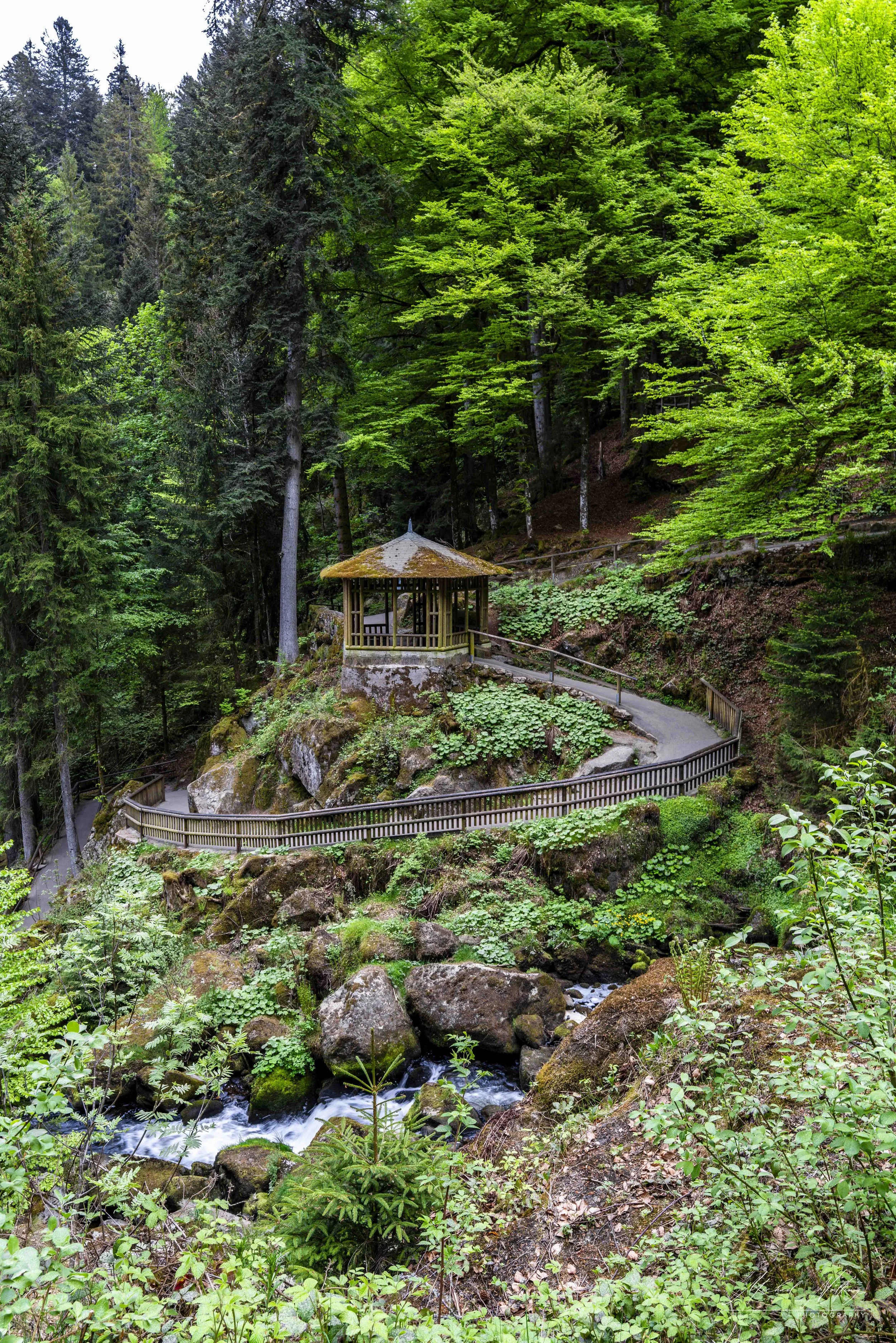 _DSC8769.jpg