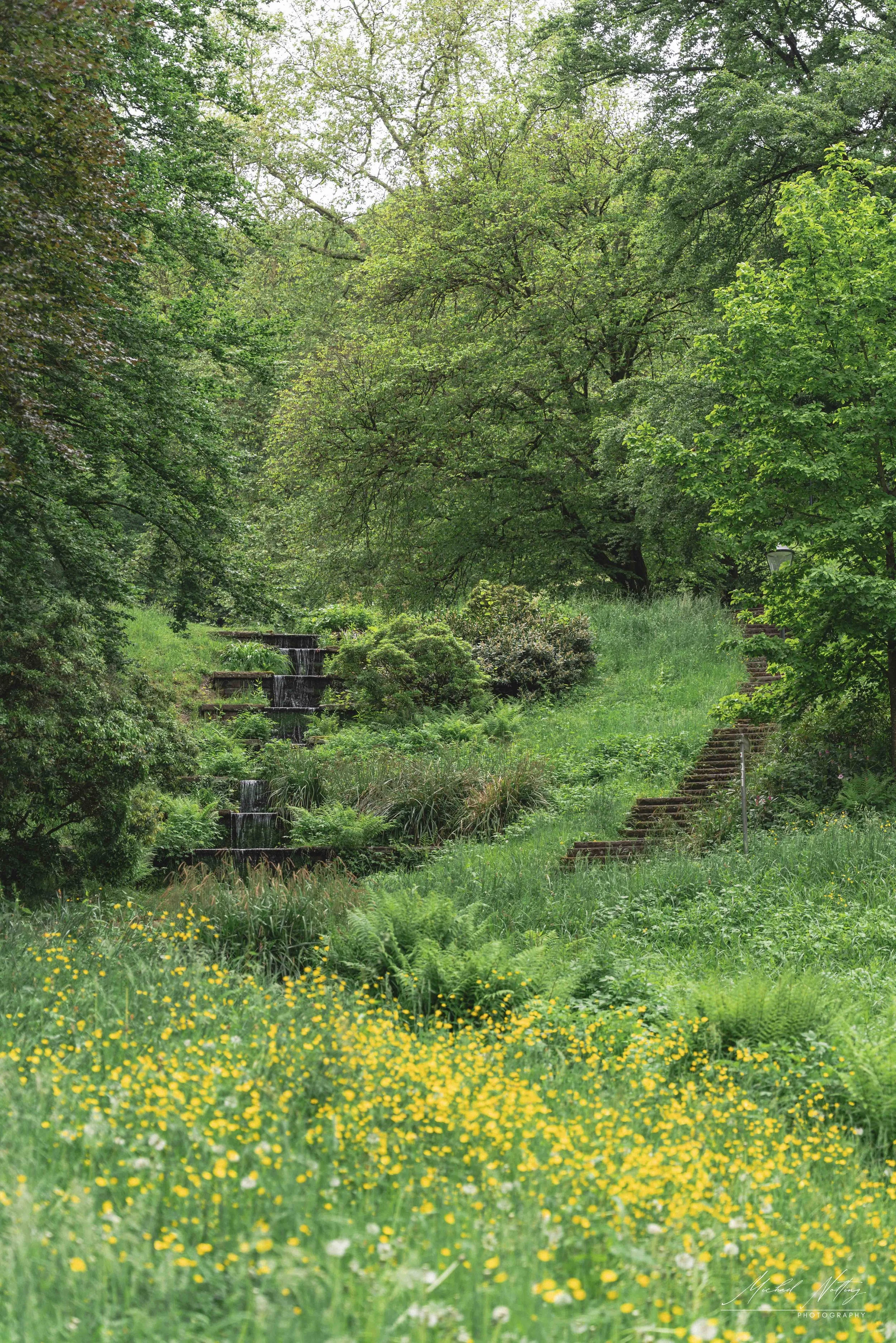 _DSC9074.jpg