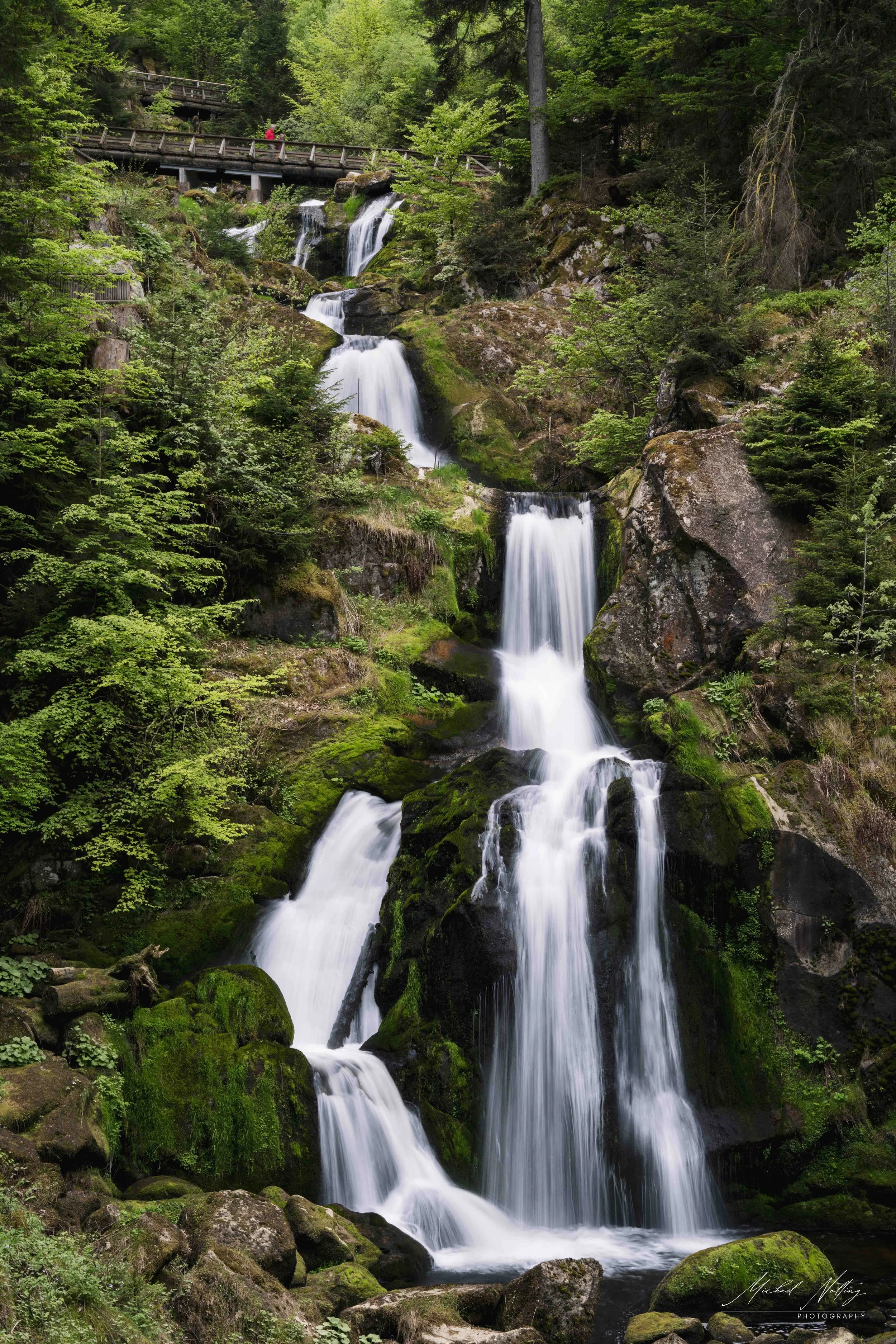 _DSC8735.jpg