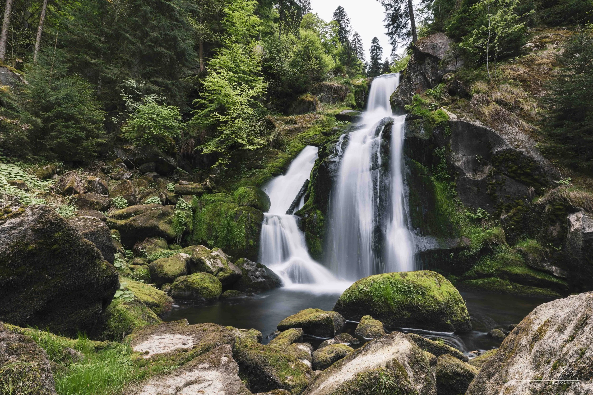_DSC8714.jpg