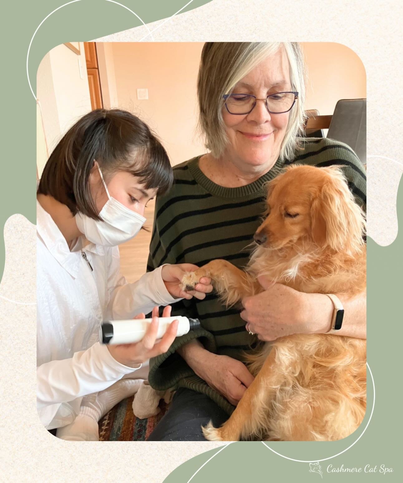 Once a month, we visit senior communities and offer in-home services for all their kitties! This includes nail trims, ear cleanings, dental scrubs&mdash;even colorful nail caps for kitties who want to feel fancy ✨

But did you know we also offer dog 