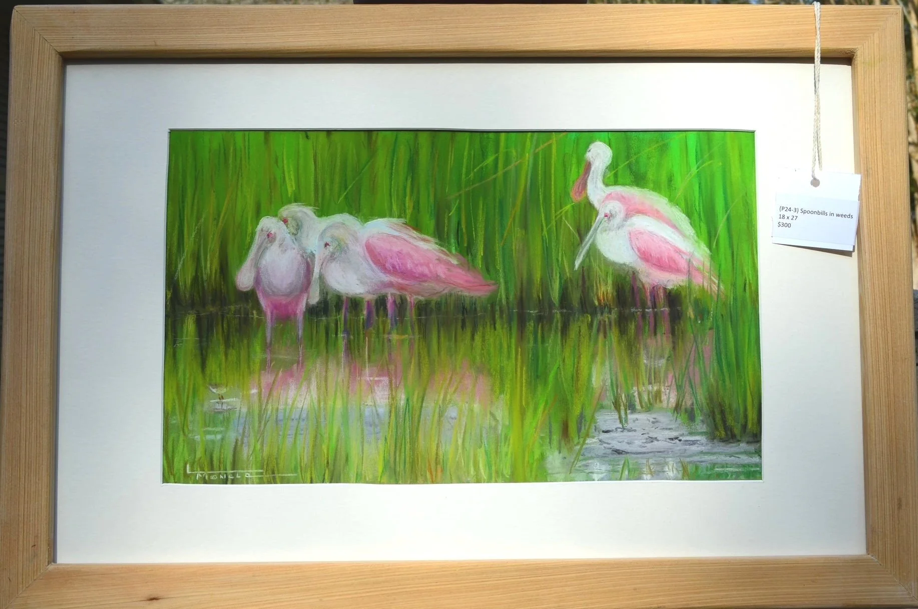 Spoonbills in Weeds
18 x 27