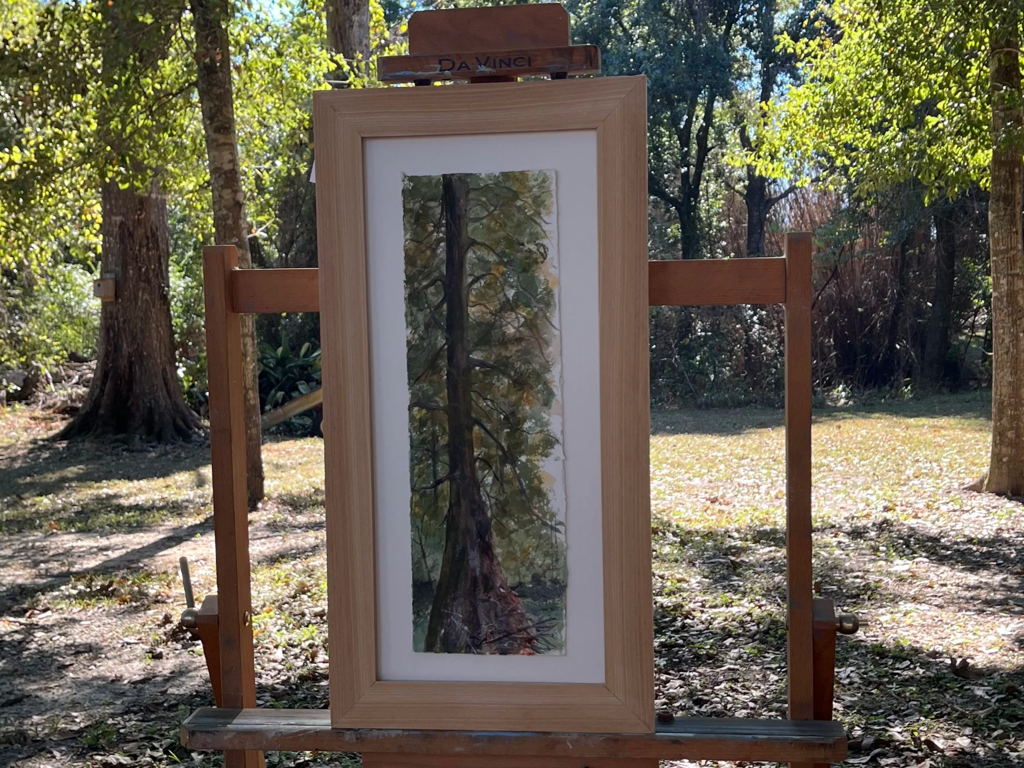 Cypress Branches
10 3/4 x 21