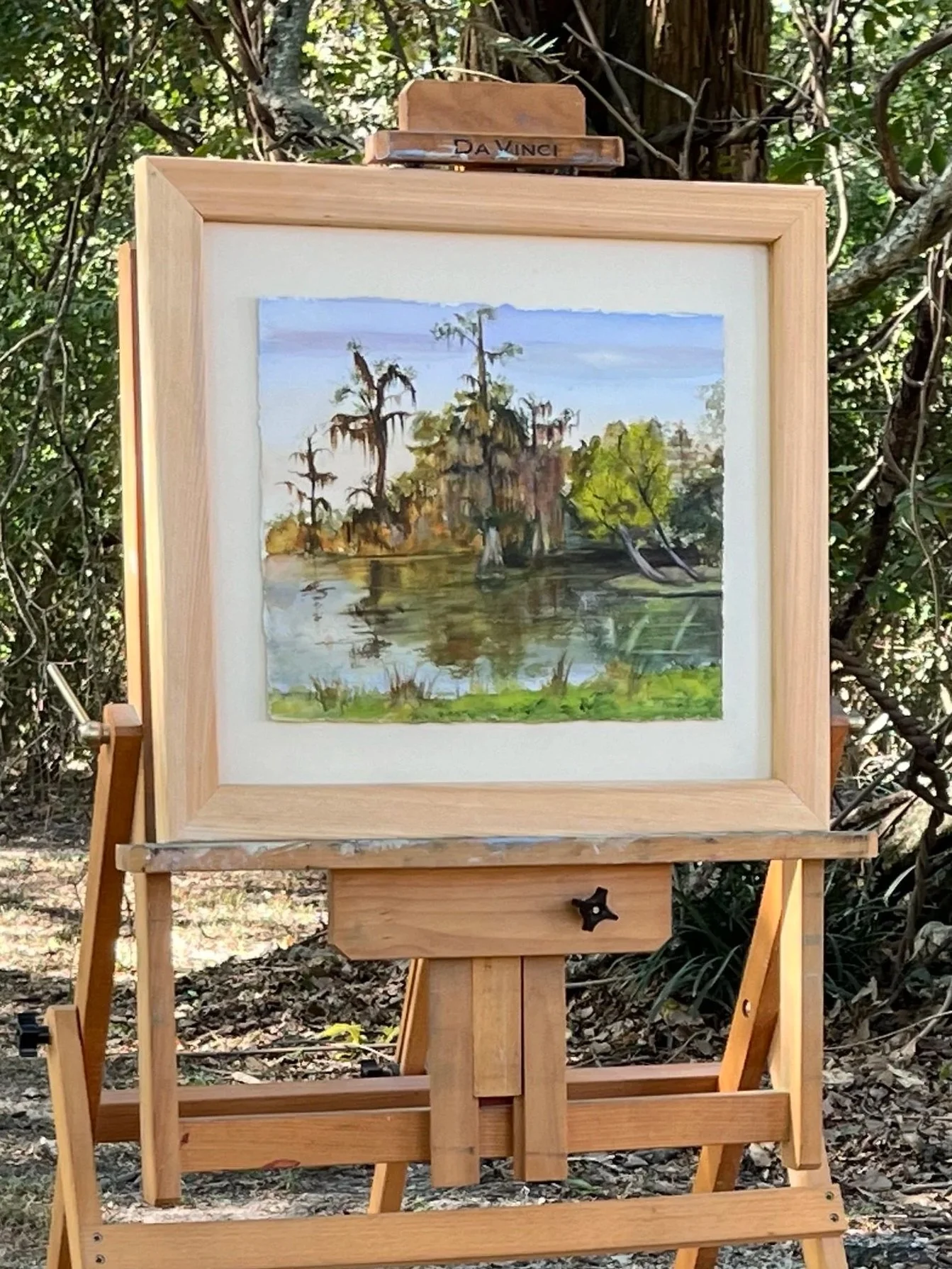 Fall Cypress
18 x 20