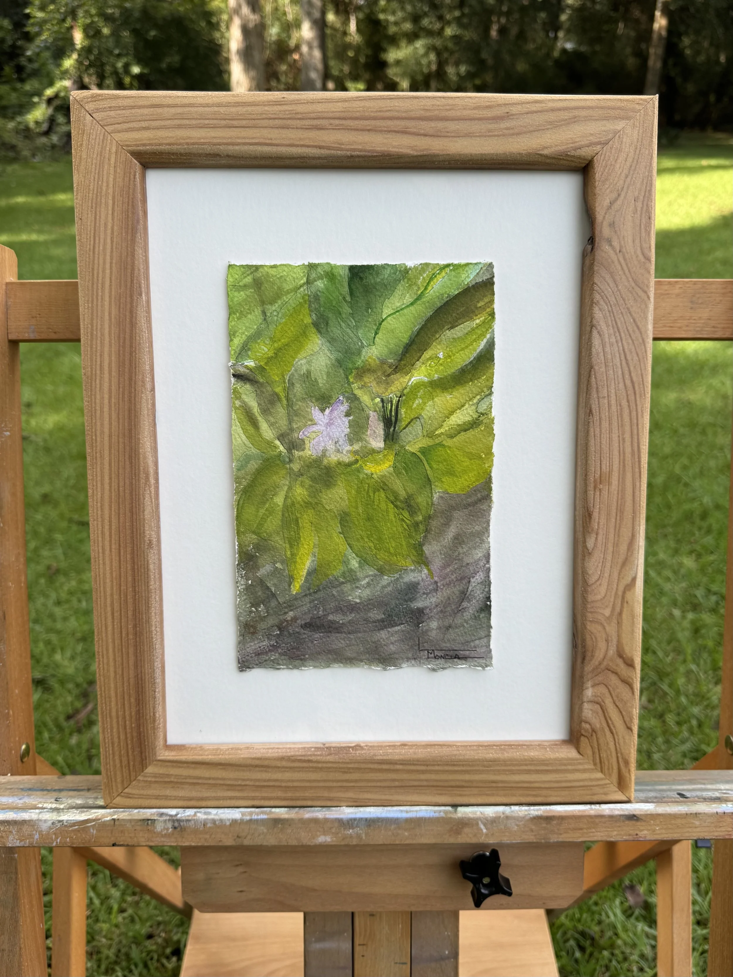 Ginger Plant
12.25 x 15.75
$225