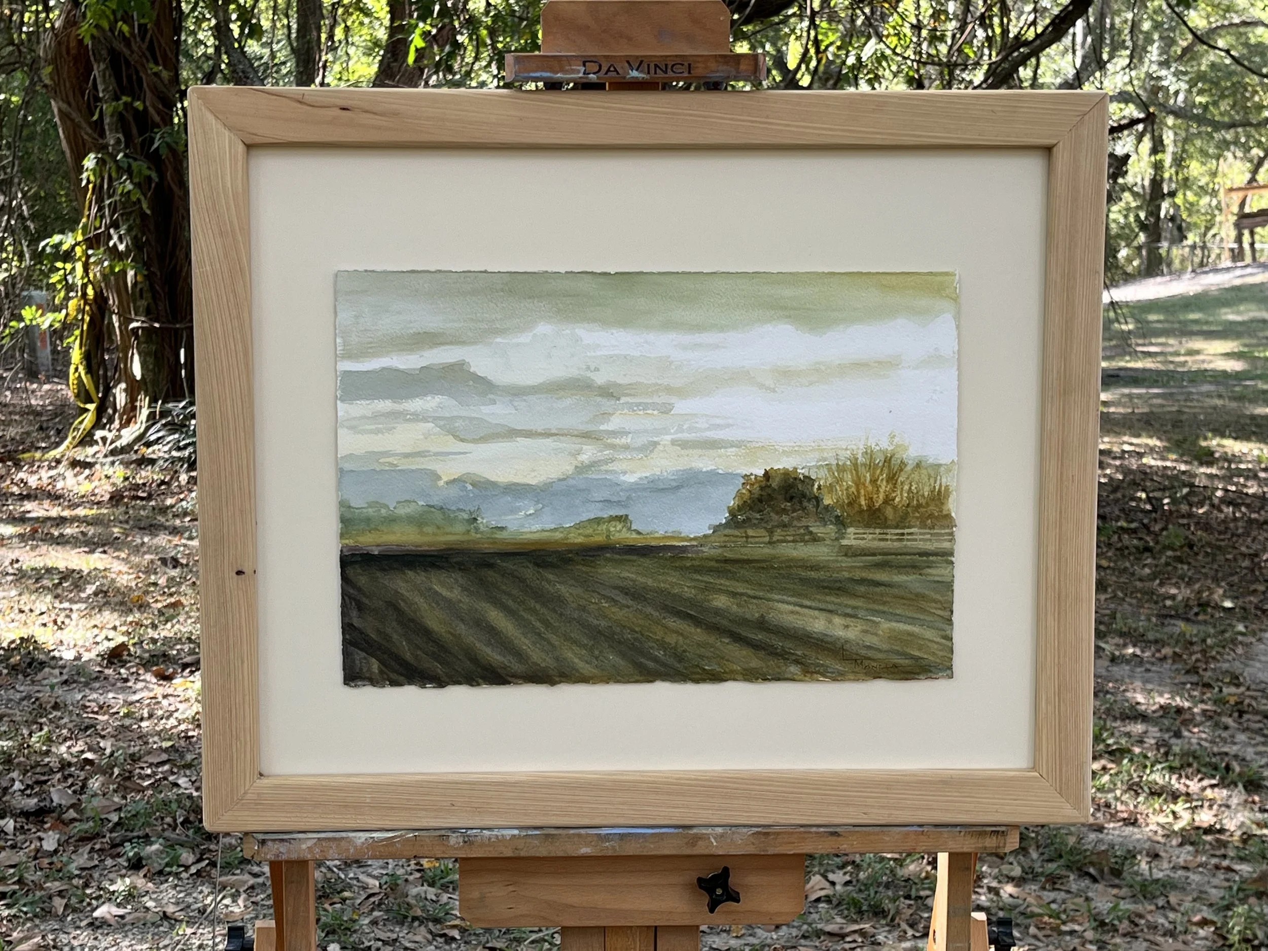 Fields of Light
21 x 25