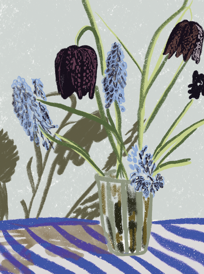 illustration_flowers_julia_seyferth.png