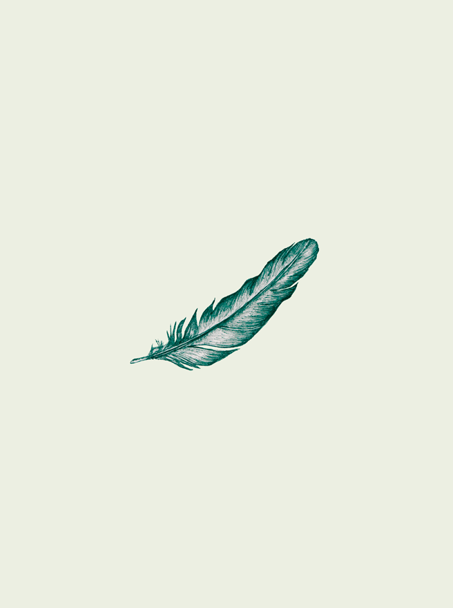 illustration_feather_julia_seyferth.png