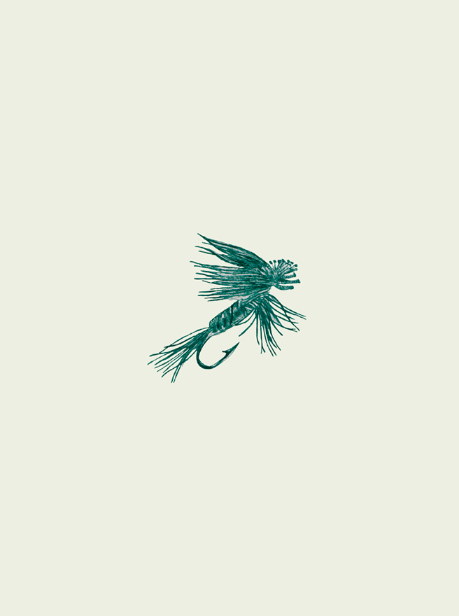 illustration_fly_julia_seyferth.png