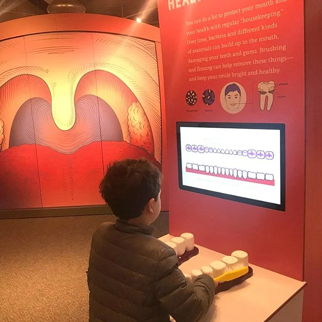 Exhibit Design