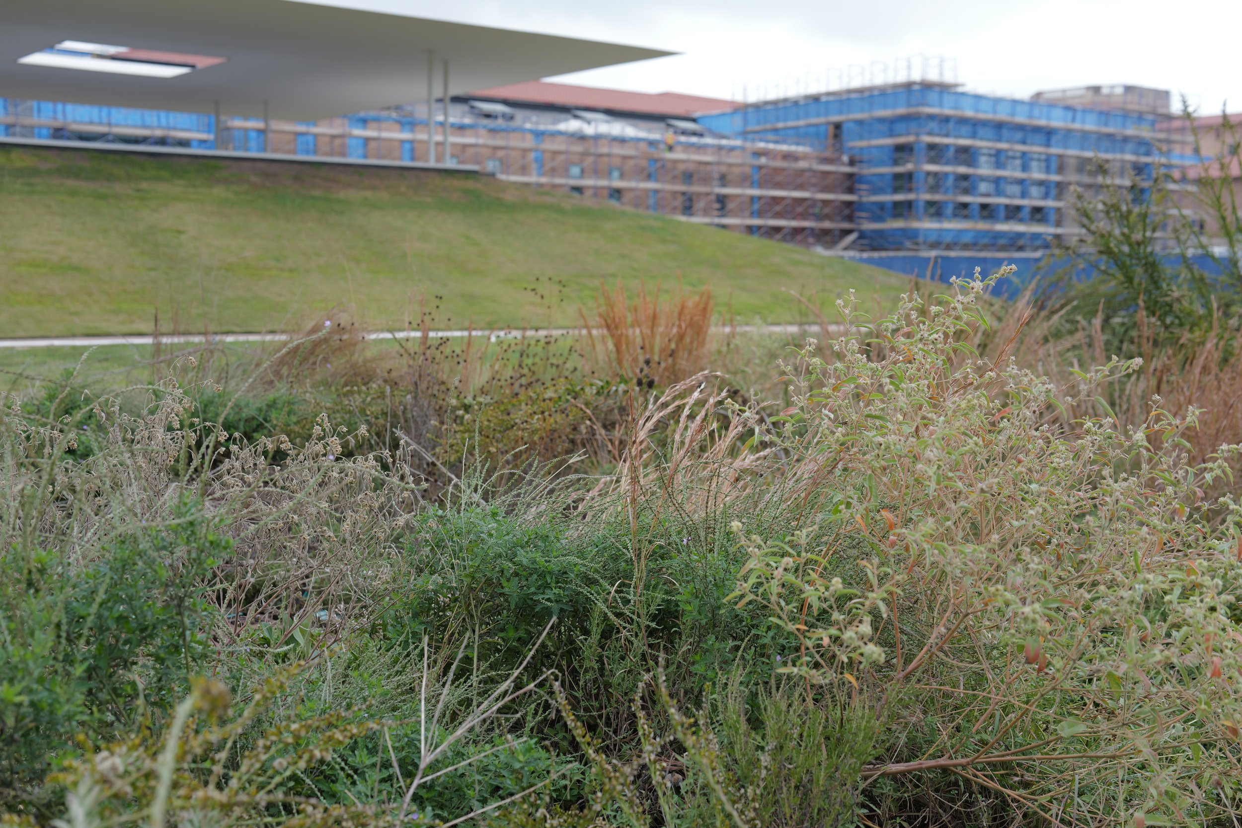 December Work Day - Postponed to 12/13!