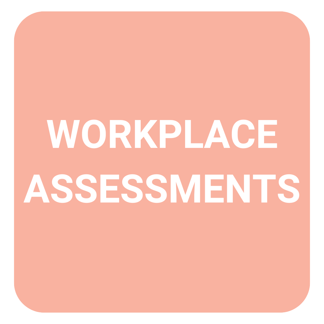 A holistic review of your workplace practices, culture, and people systems to identify risks, gaps, and opportunities for improvement. Great for if you're trying to address a specific concern or just get a check up.