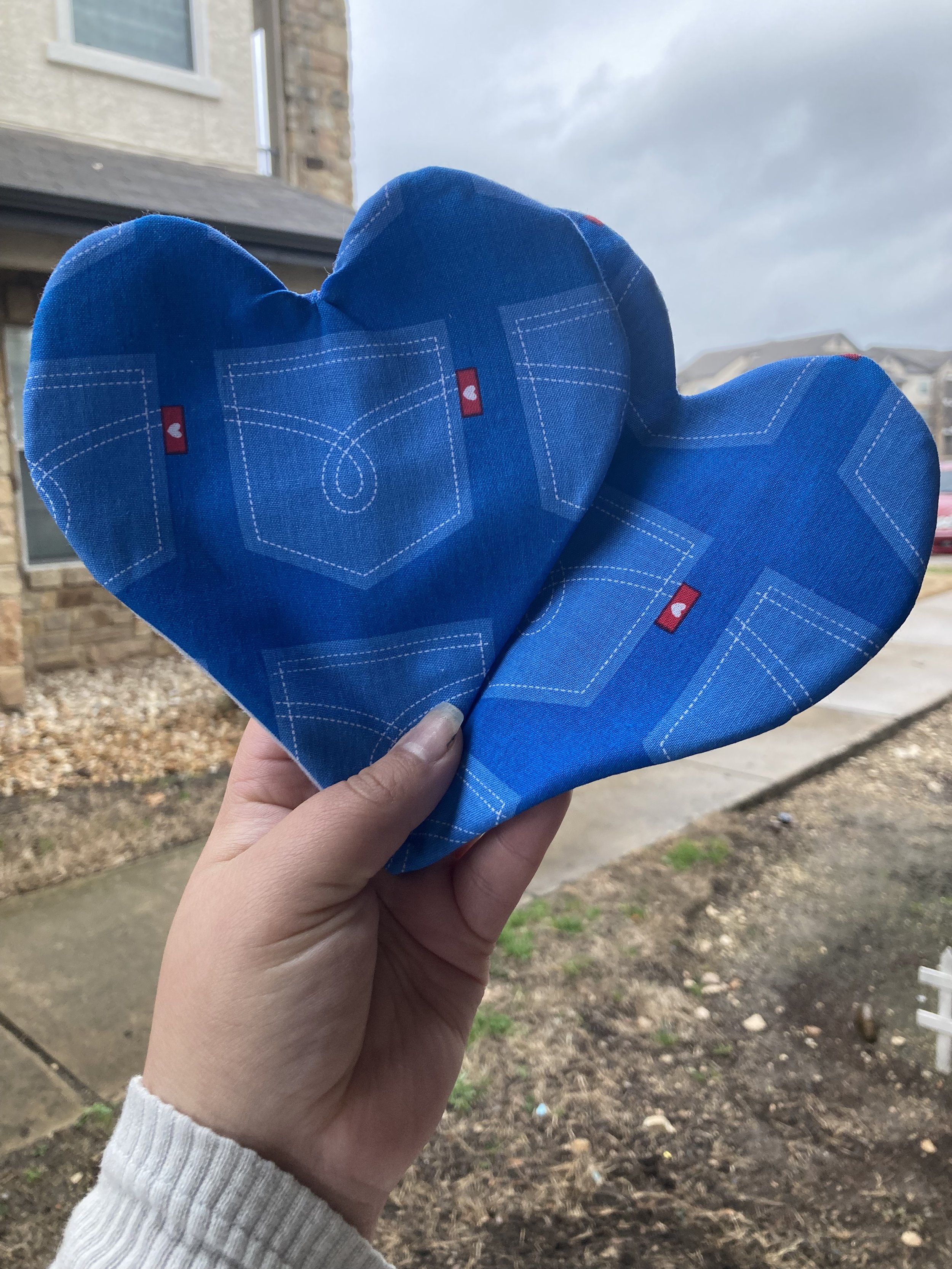 Heart Pouch