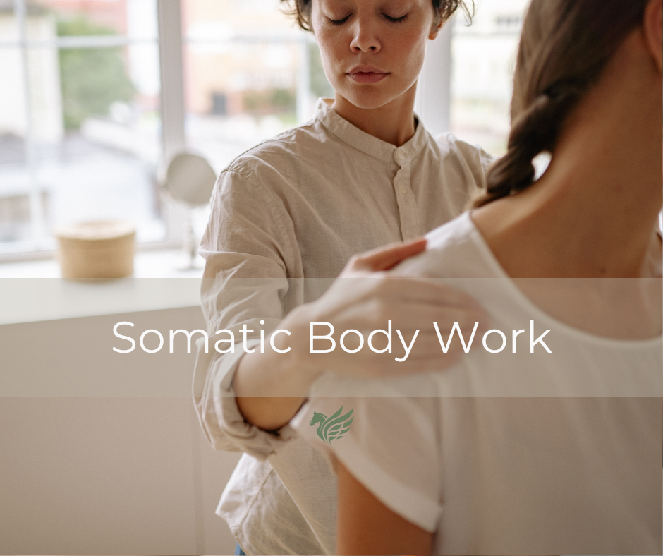 Somatic Healing Bodywork (In-Person)