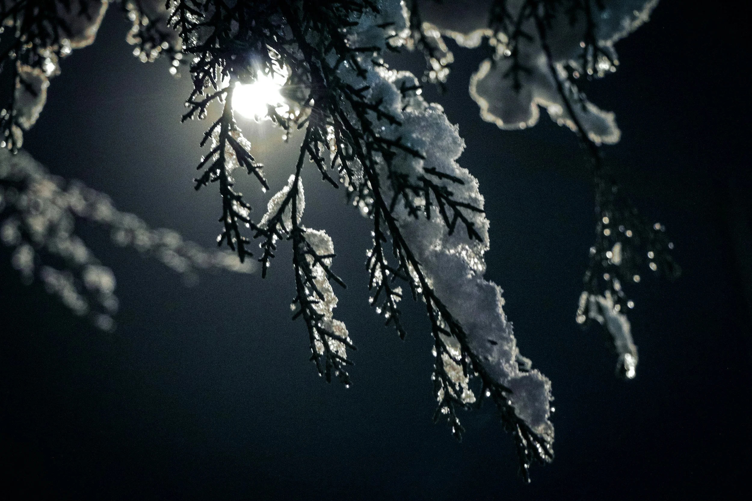 December Solan - Seeing in the Dark