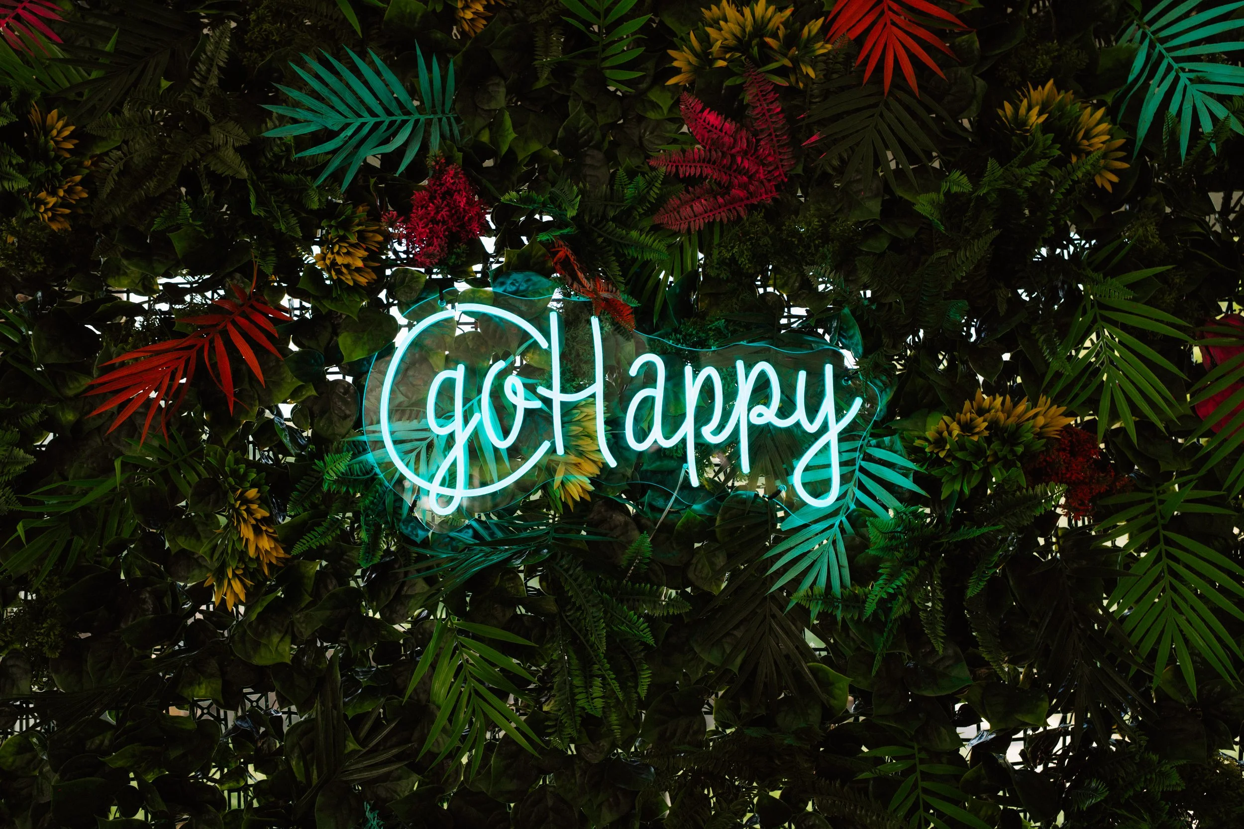gohappy-summit-001.jpg