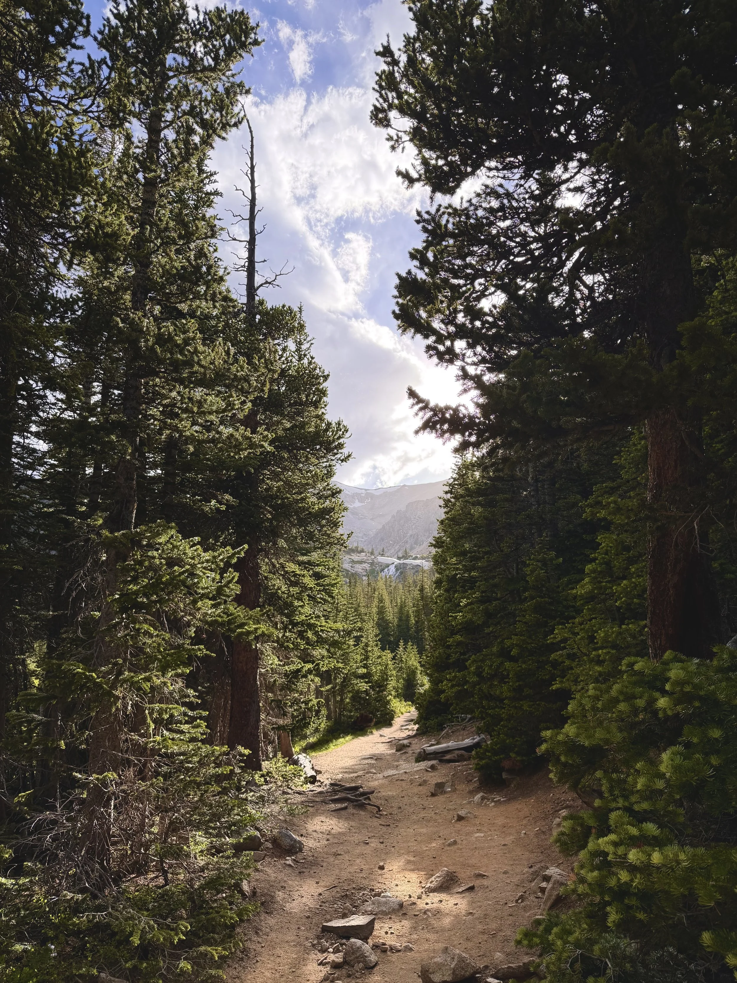 Somatic Walk and Talk Therapy in Denver: Healing Through Movement, Nature, and Connection
