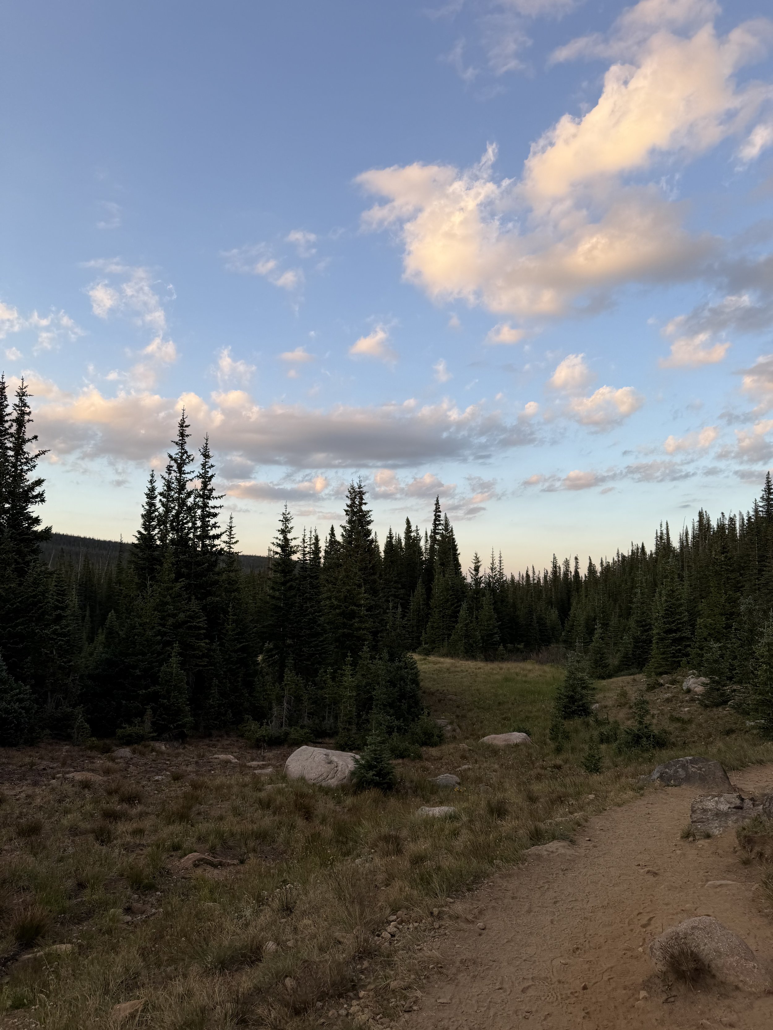 walk and talk hiking therapy outdoor therapy denver colorado therapist somatic therapy golden boulder fort collins longmont westminster