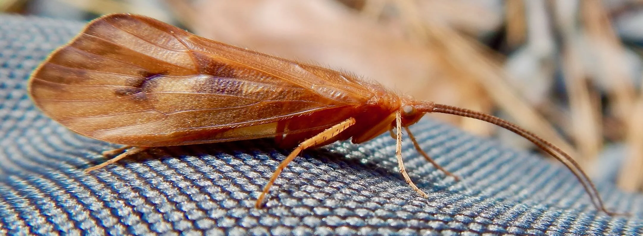 Fly Tying Class for School Students