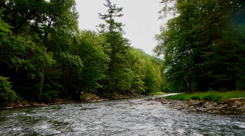 Penns Creek Chapter of Trout Unlimited