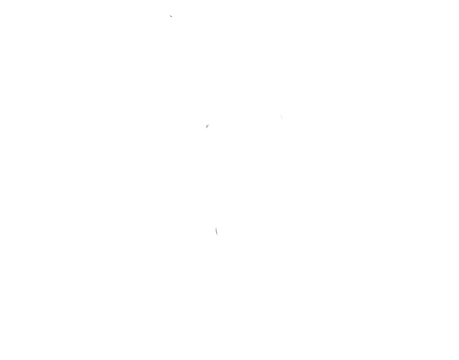 Shamanic Healing LA