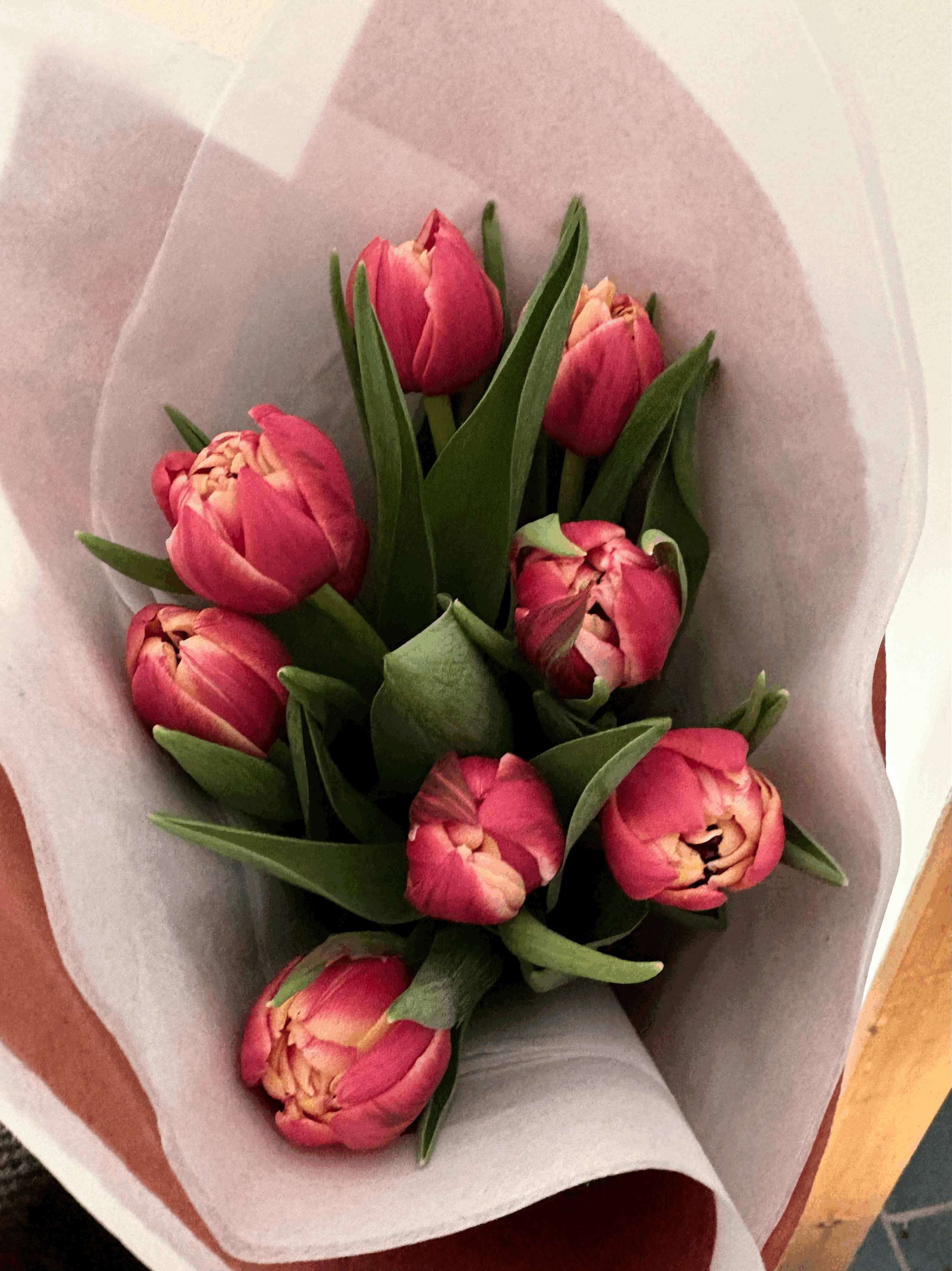 One Dozen "Winter" Farm Grown Tulips!