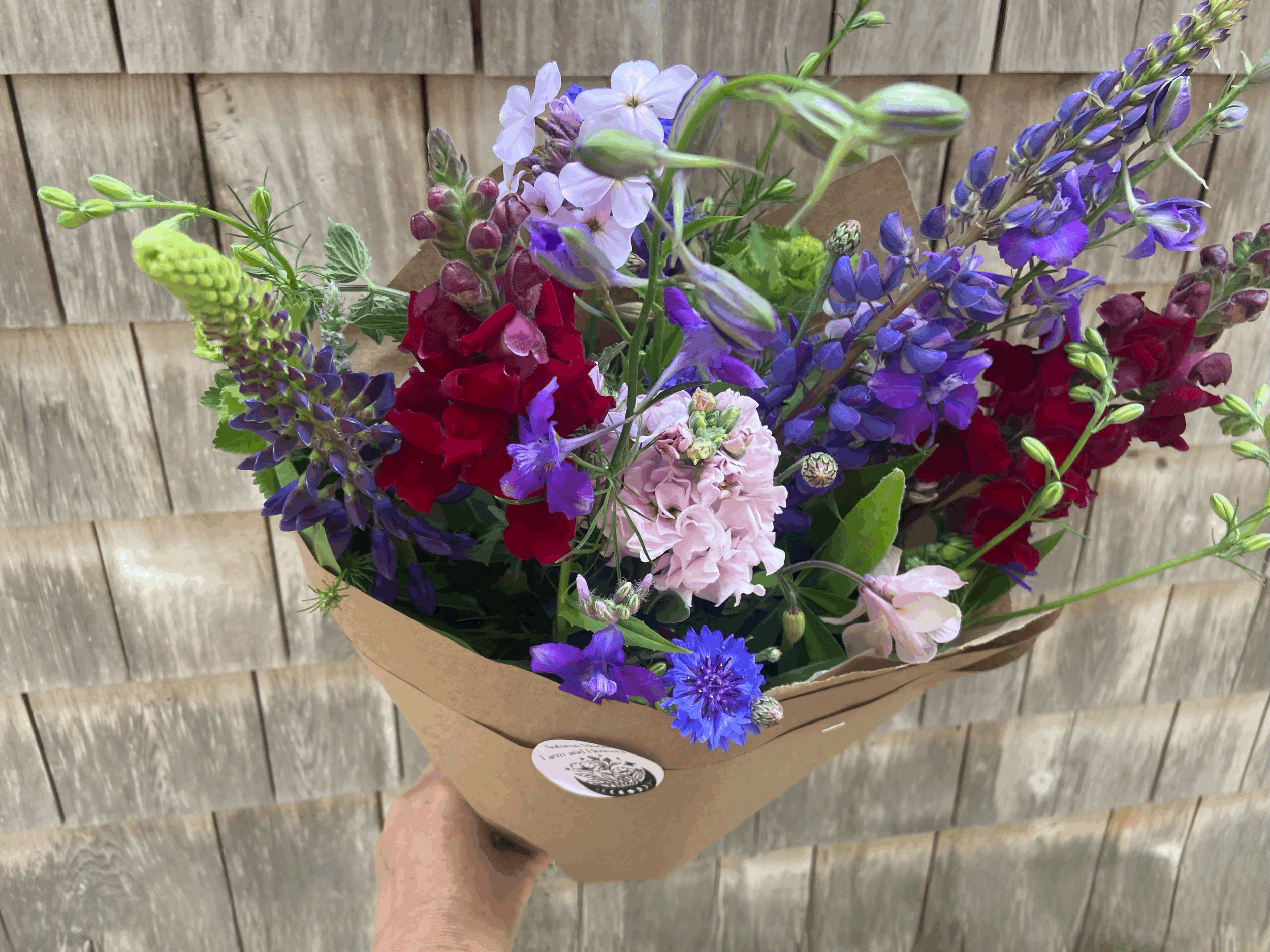 5 Week Spring Business CSA with delivery