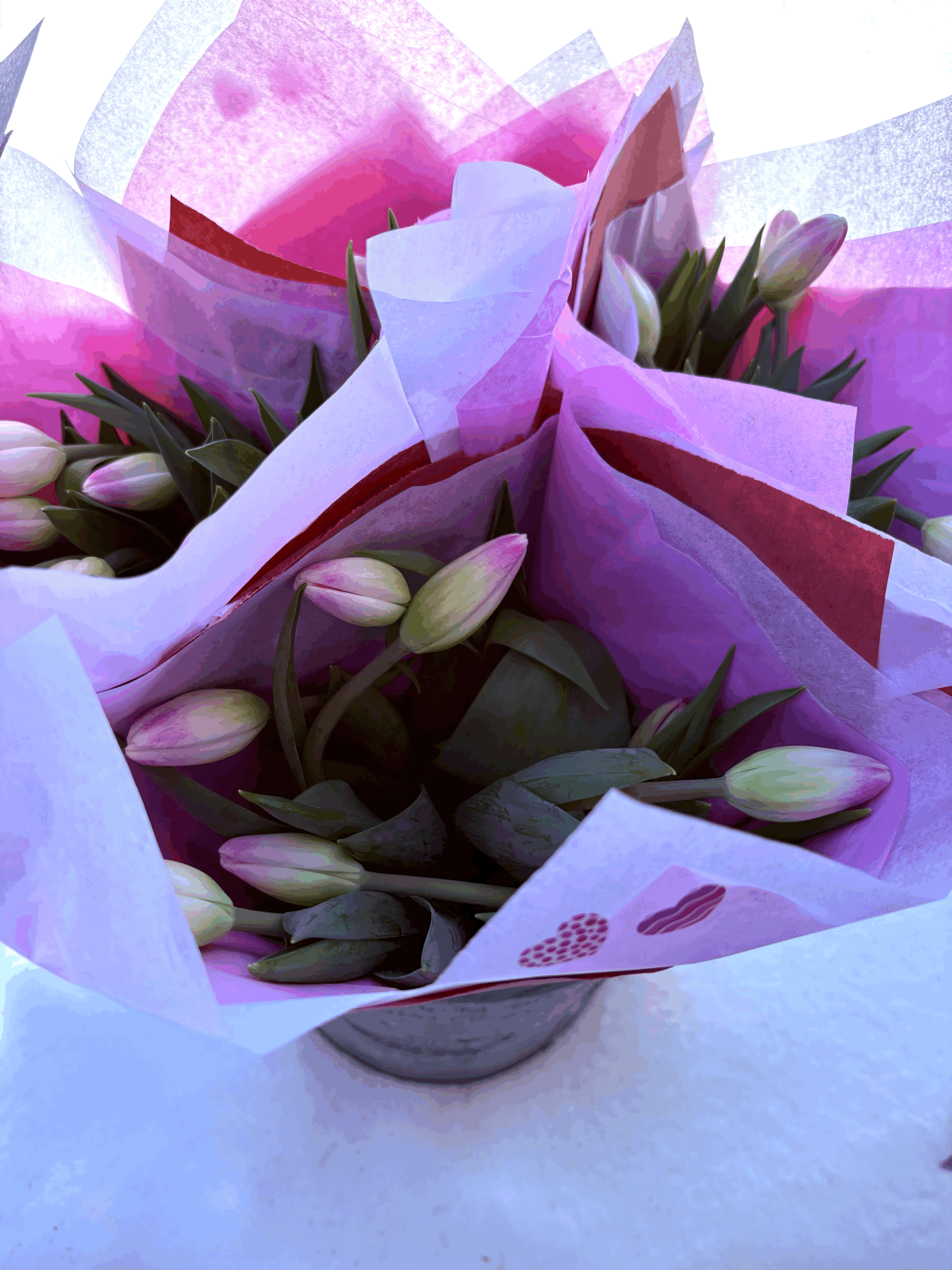 One Dozen "Winter" Farm Grown Tulips!