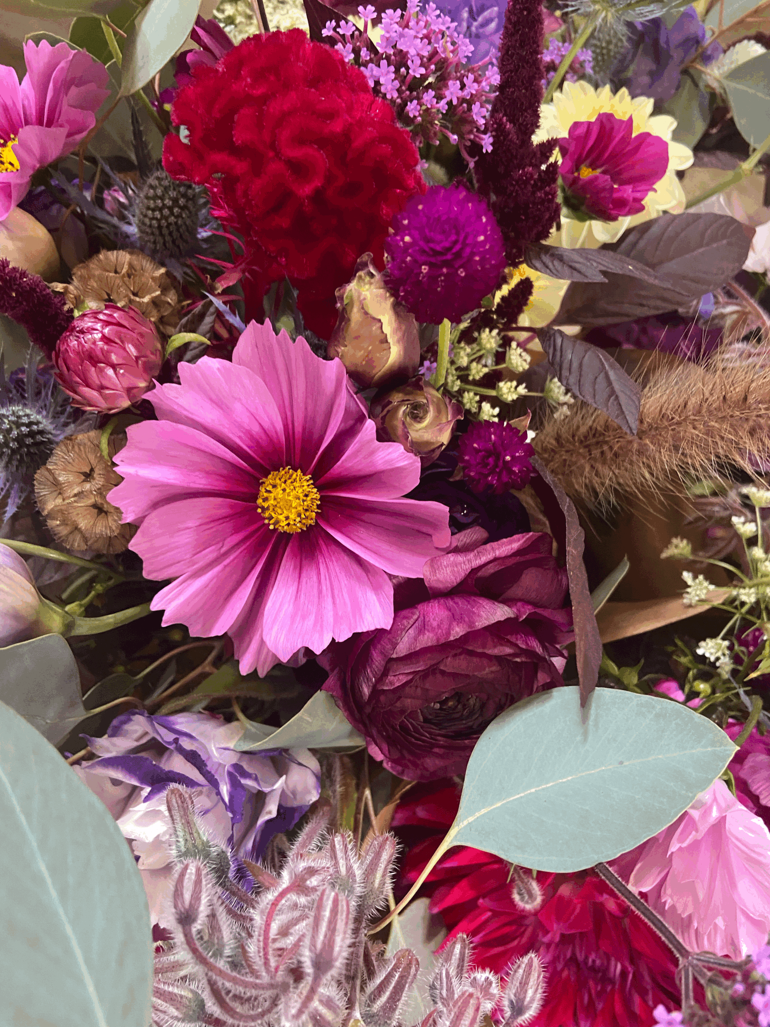 10 Week Summer Business CSA PICK UP