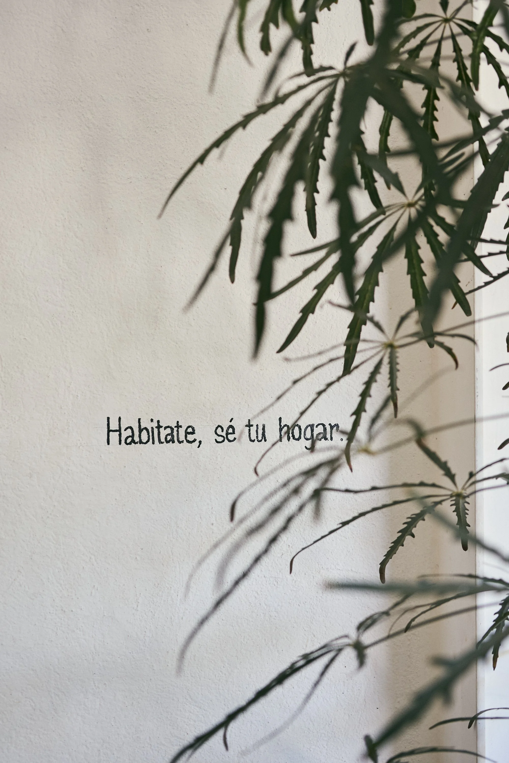 Rebelion40247.jpg
