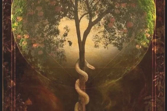 The Best Painkiller I’ve Ever Had