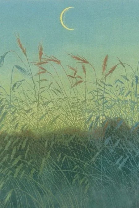 moonrise over abundant summer wheat field psychic healing insight and counseling for prosperity and money help