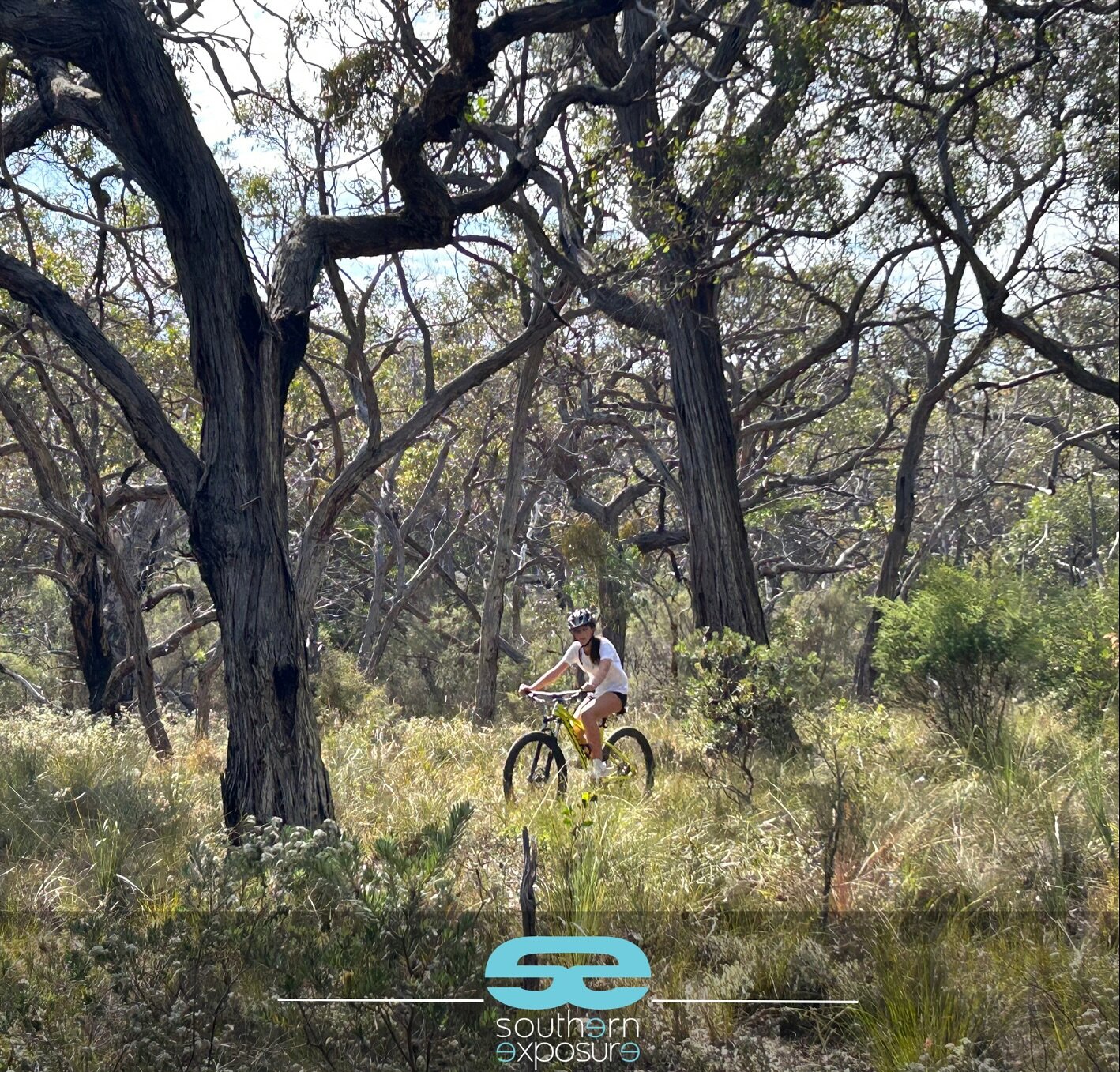 Mountain Bike Riding | Southern Exposure 

Experience the thrill of our Mountain Bike Ride experiences.
It&rsquo;s time to GET ACTIVE and trail blaze along the Surf Coast &amp; Great Ocean Road

 Our tours can be booked as apart of our Adventure Camp