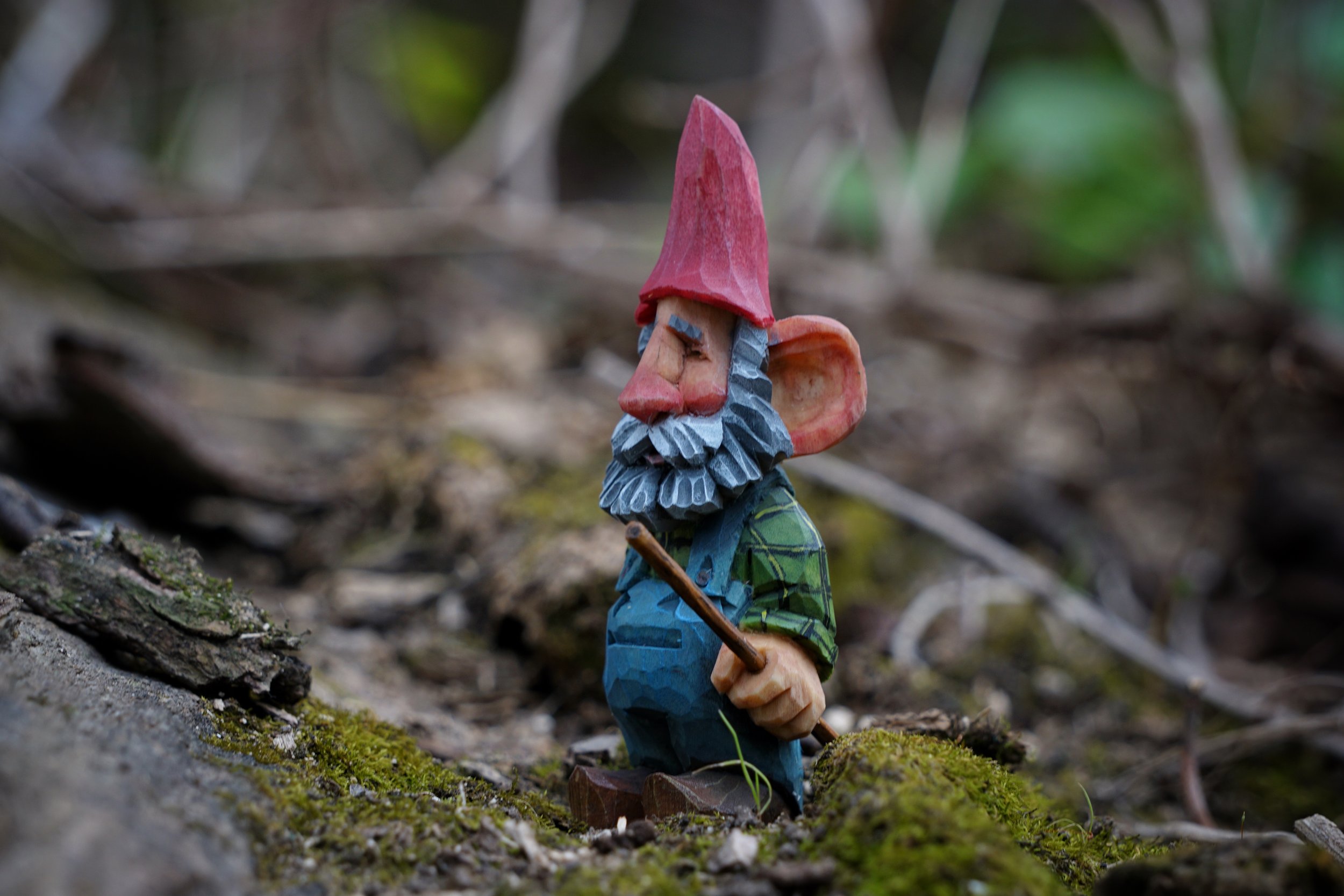 Walking Stick Gnome