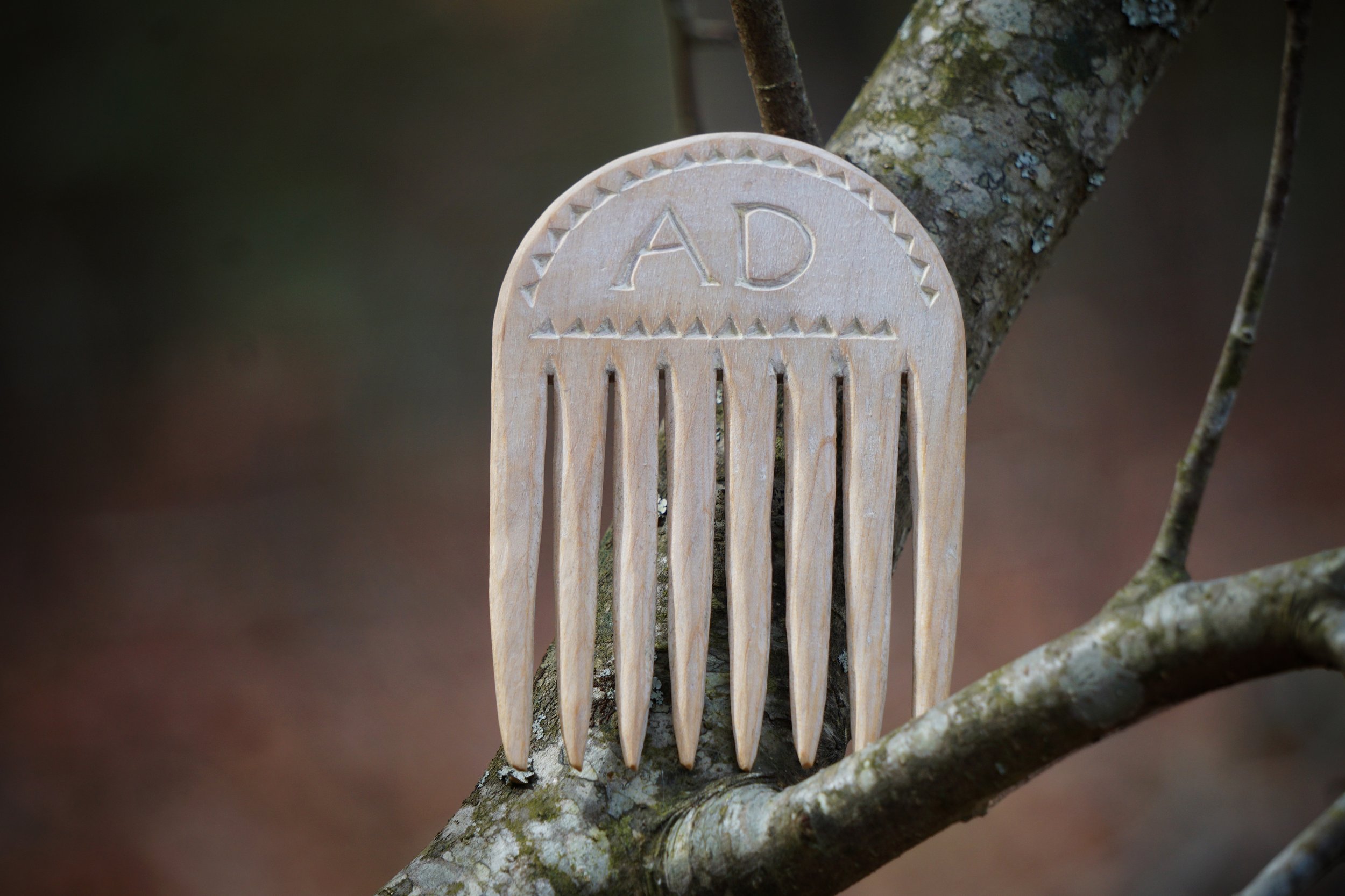 Allie’s Comb Obverse side