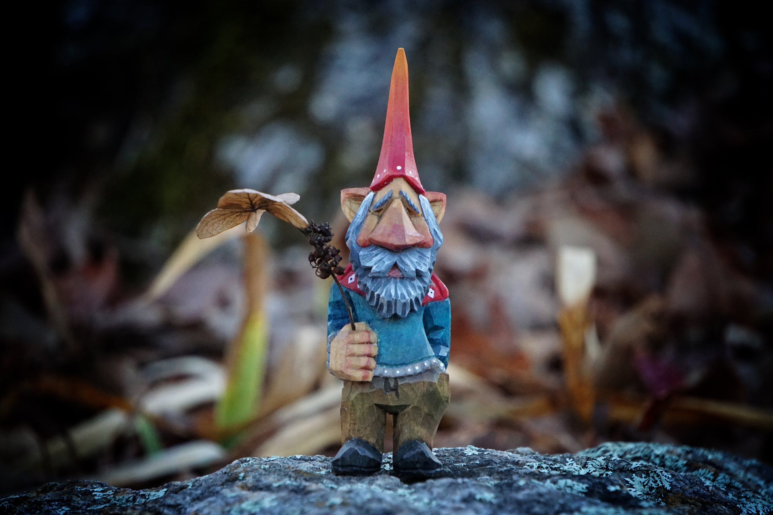 Peter’s Gnome