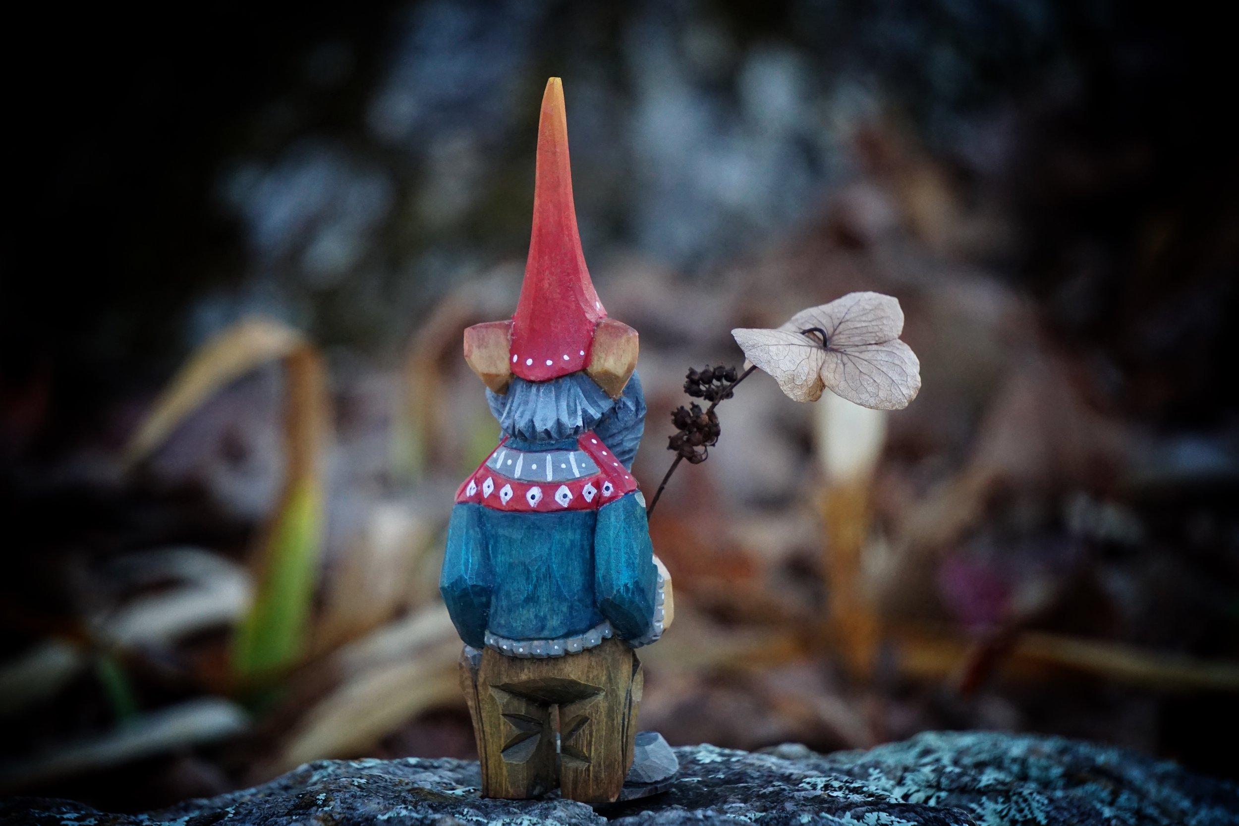 Peter’s Gnome (back view)