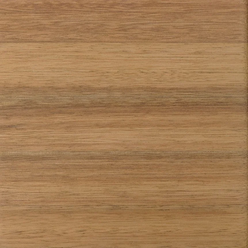 Eucalipto (Eucalyptus Urophylla)