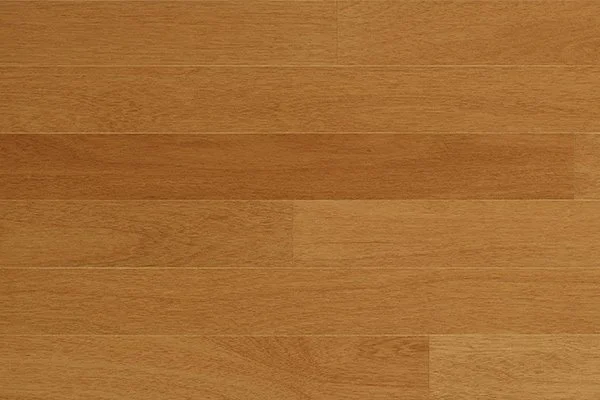 Tauari Champanhe (Couratari Guianensis)