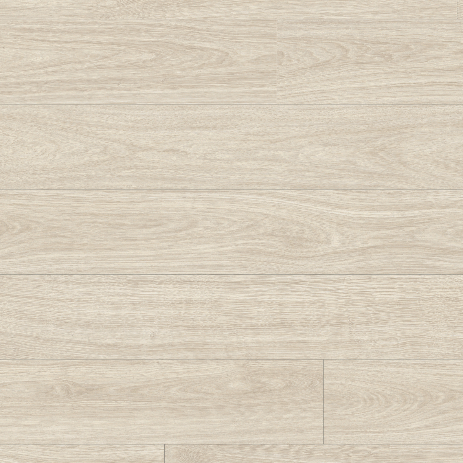 White Oak (Quercus alba)