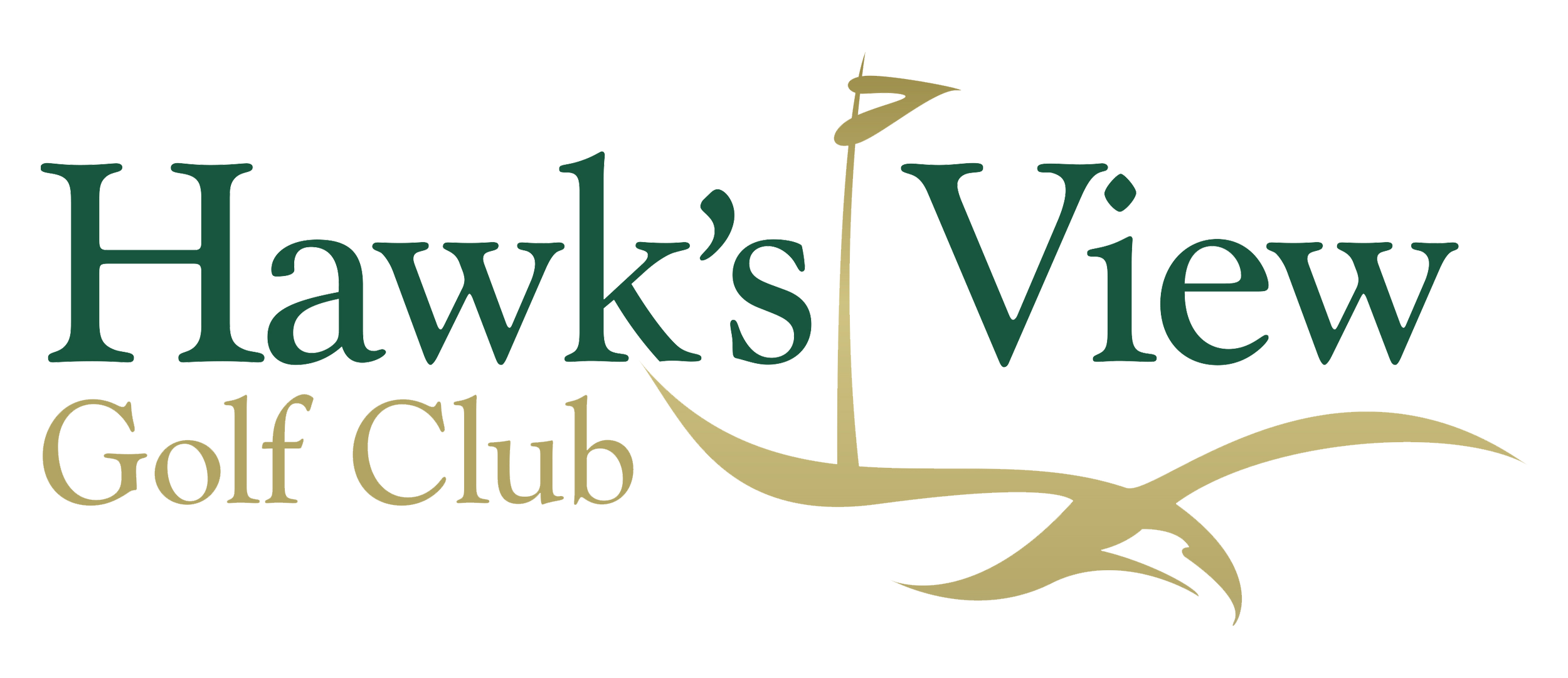 Hawk's View Logo.png