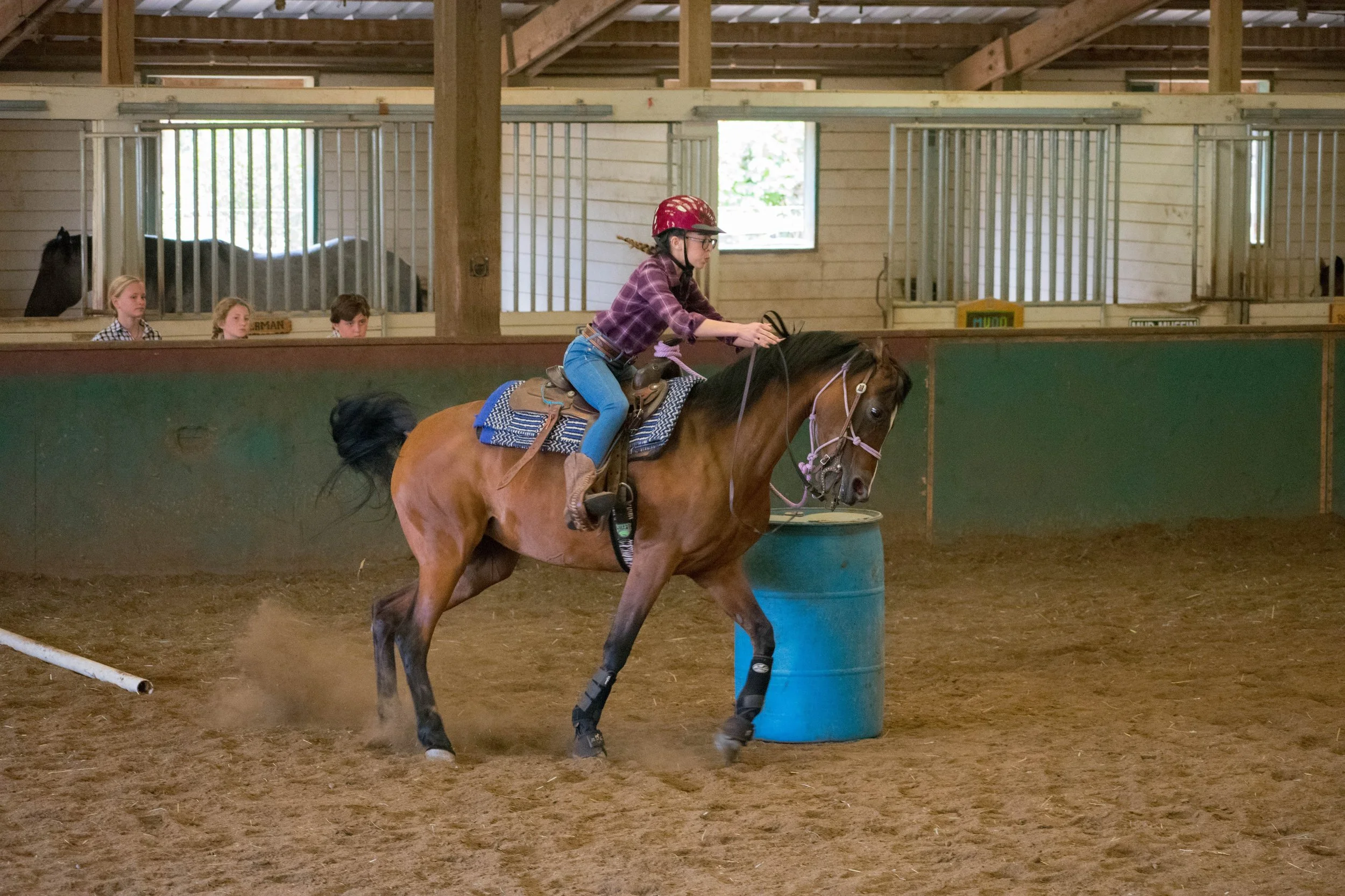 A girl wearing a red helmet and glasses rides a horse around a barrel in an indoor horse riding arena, with three girls watching in the background.
