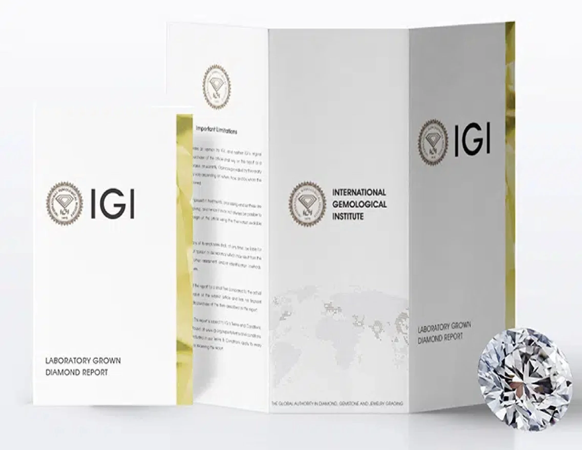 IGI_Certificate.jpg